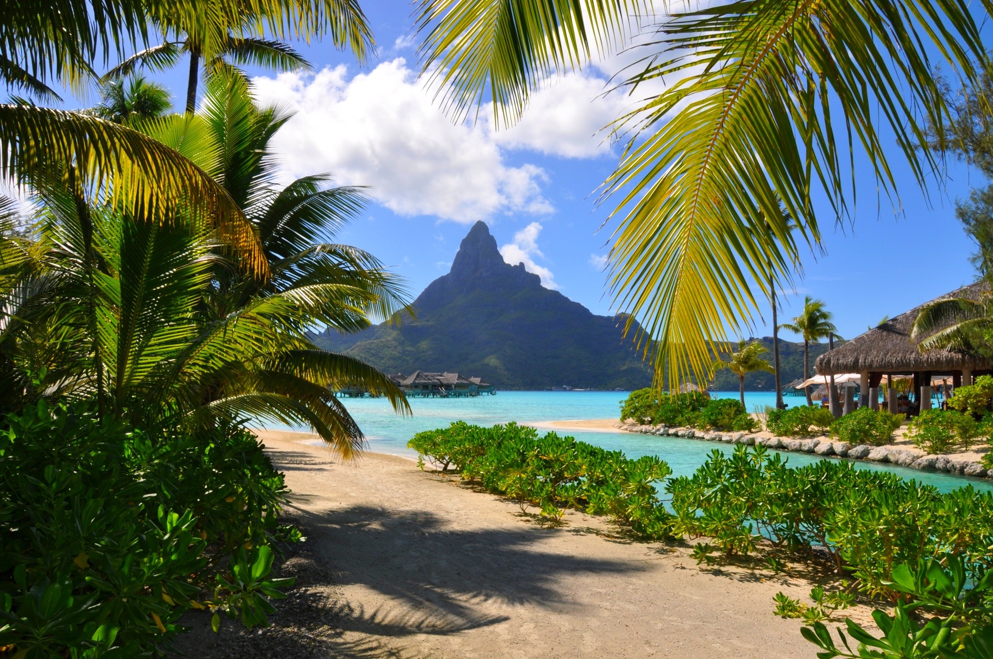 Free photo Bora Bora: The Pearl of the Pacific Ocean
