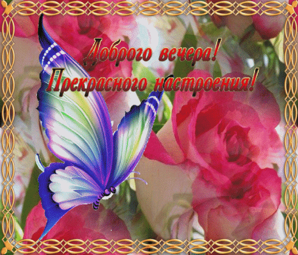 主题为鲜花 晚上好 蝴蝶的明信片免费下载