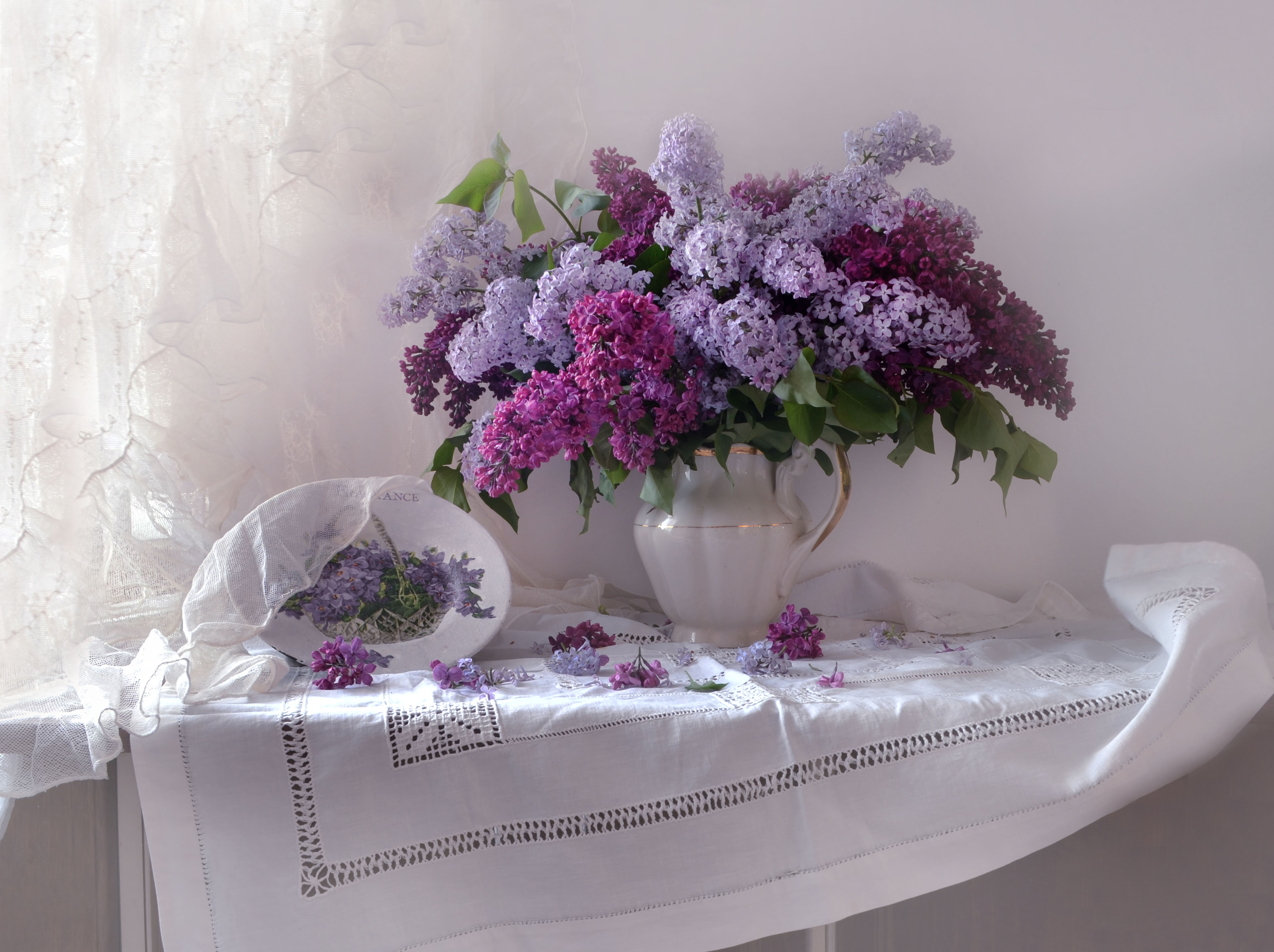 Wallpapers vase lilac picture on the desktop