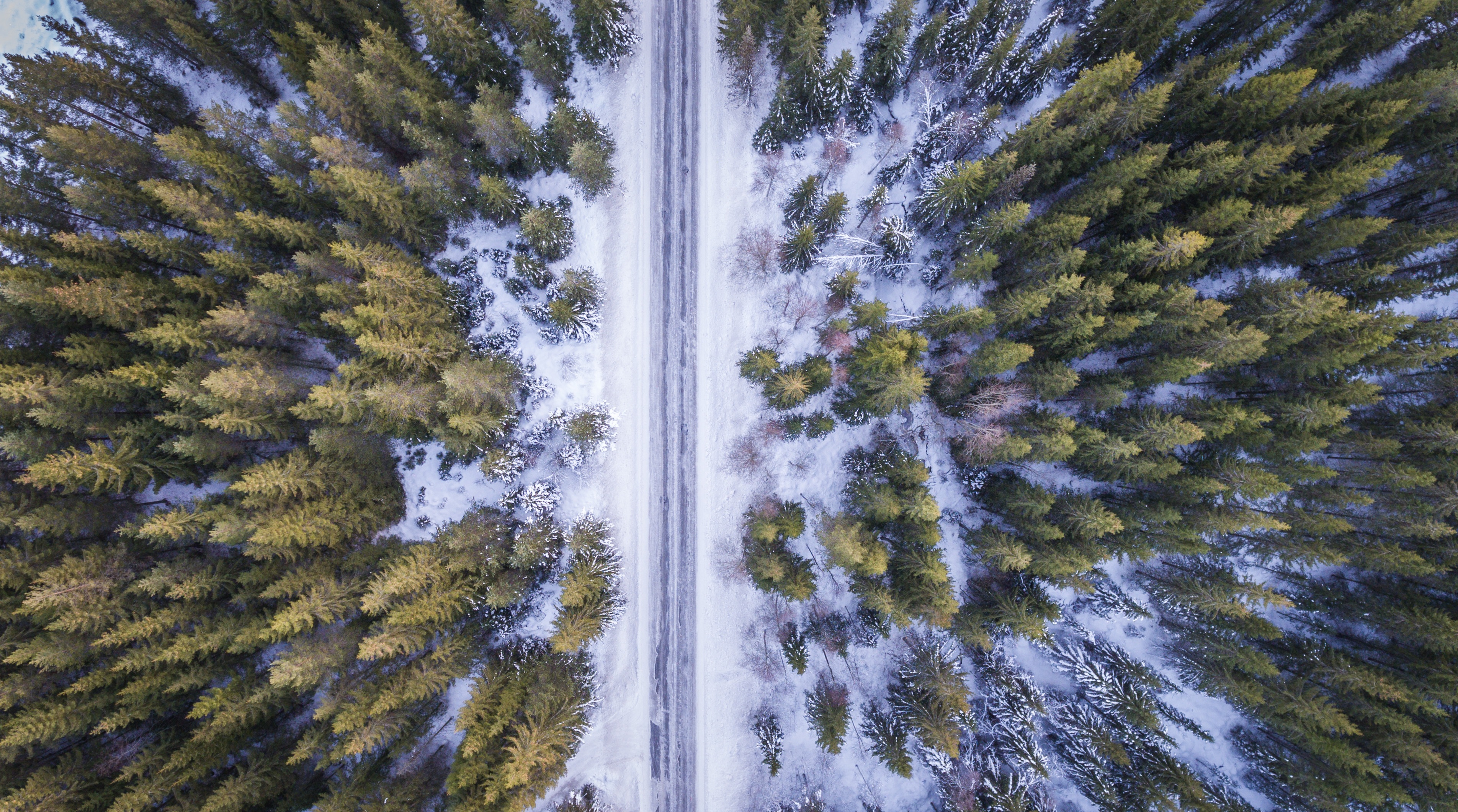 鸟瞰冬天的道路