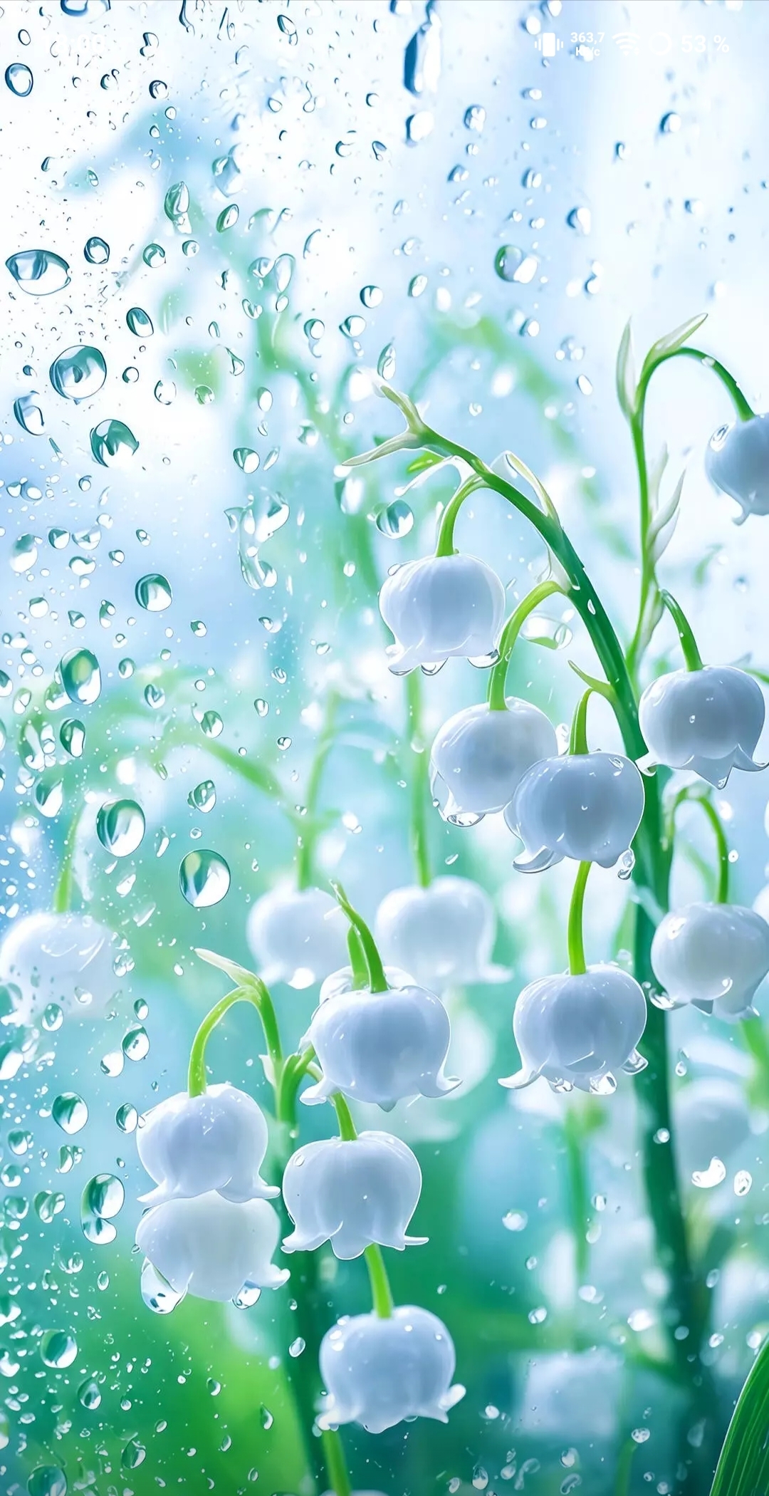 Free photo Delicate spring lilies of the valley in drops of water