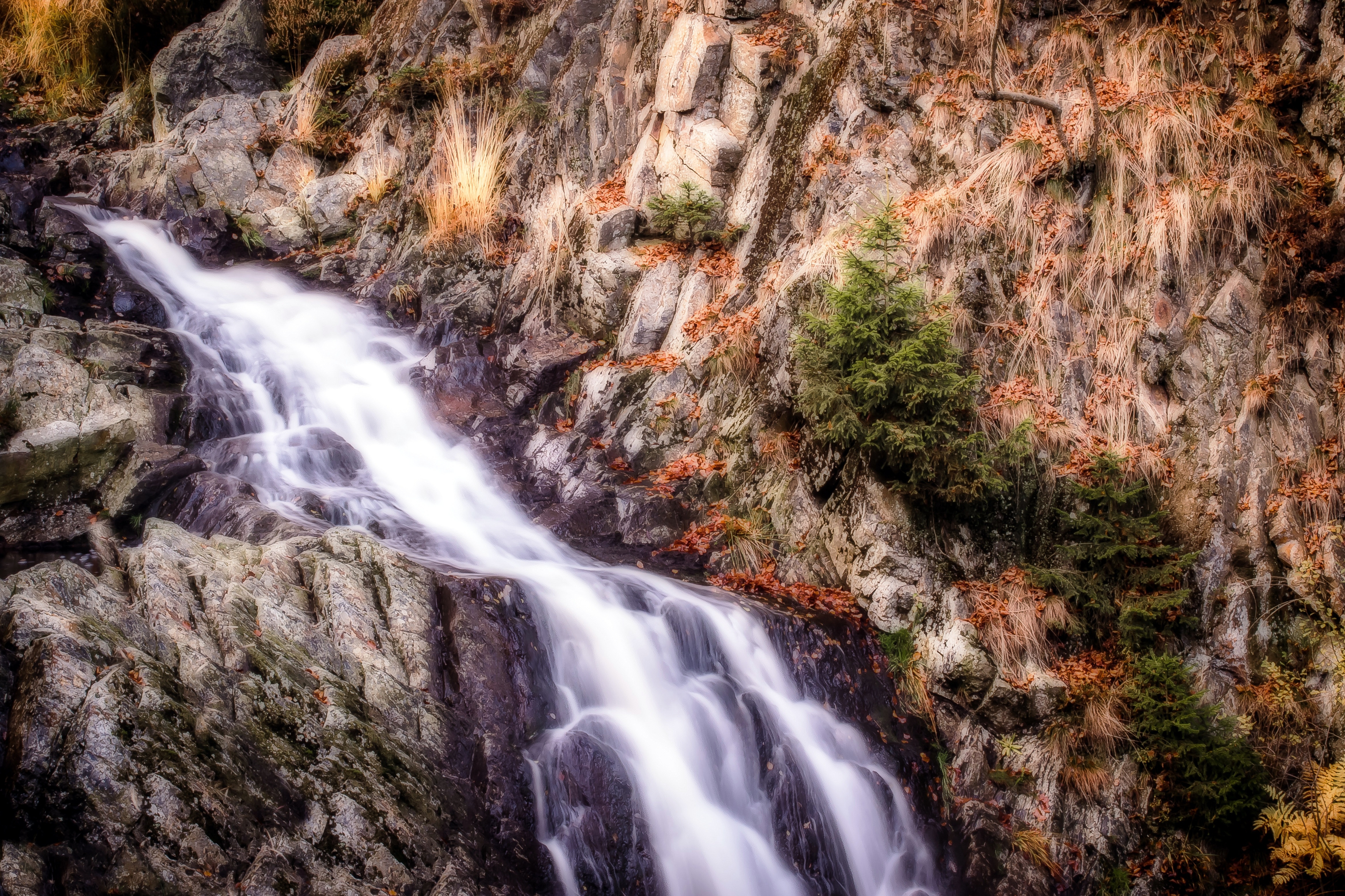 Free photo The stream flowing down the mountain