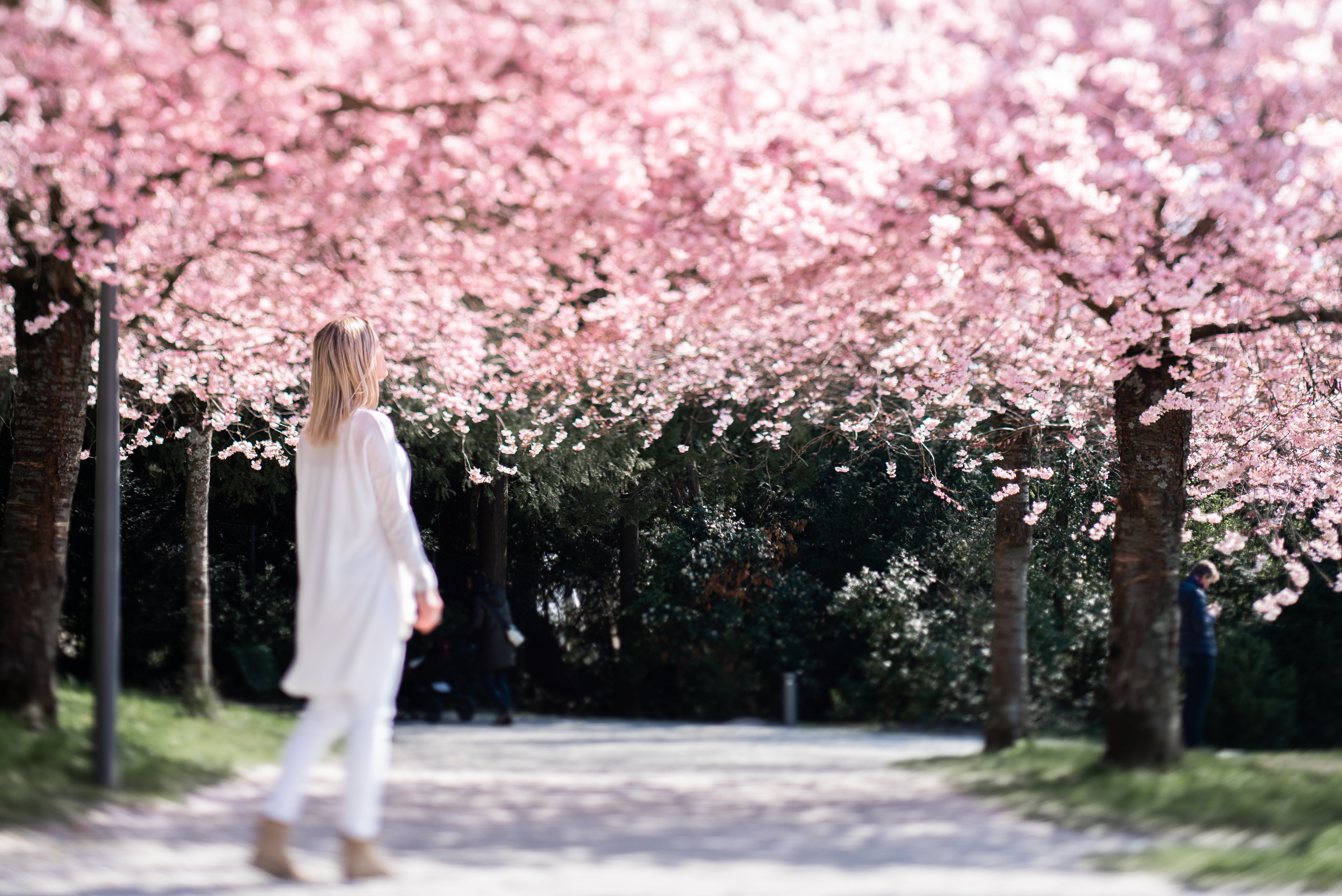 Wallpapers woman beautiful flowers on the desktop