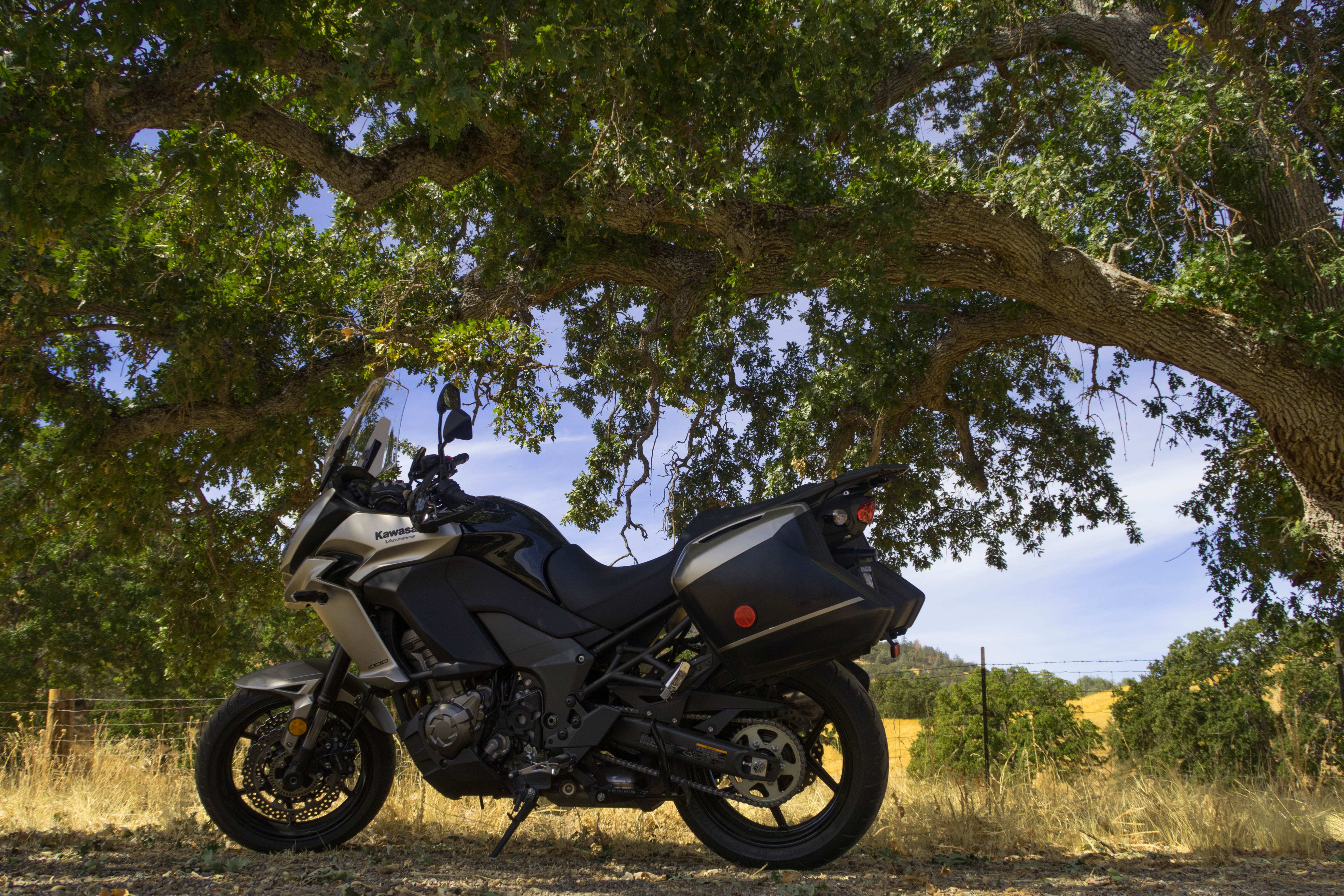 停在树枝下阴凉处的黑色川崎摩托车