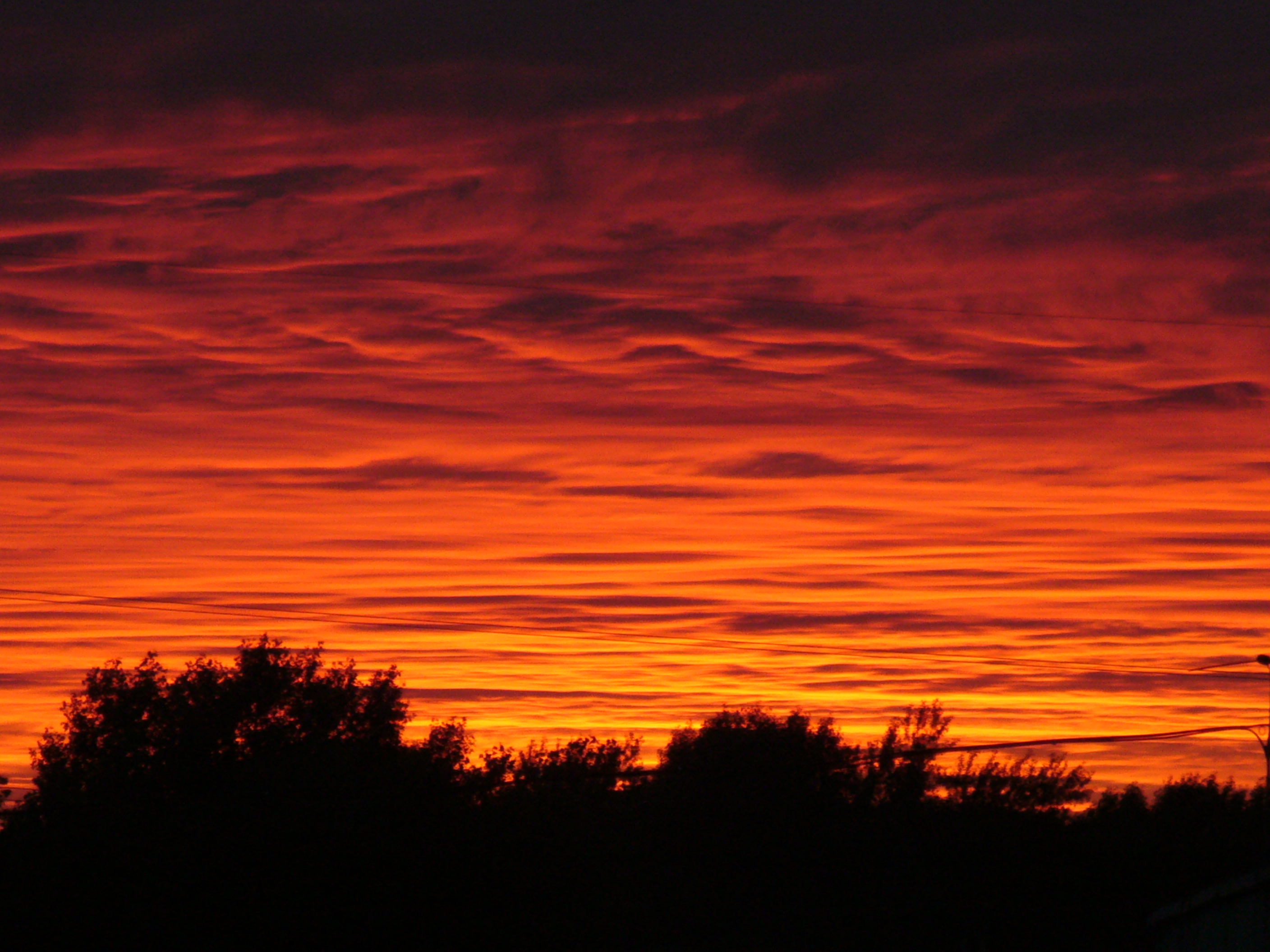 Облака на закате с чёрной линией деревьев