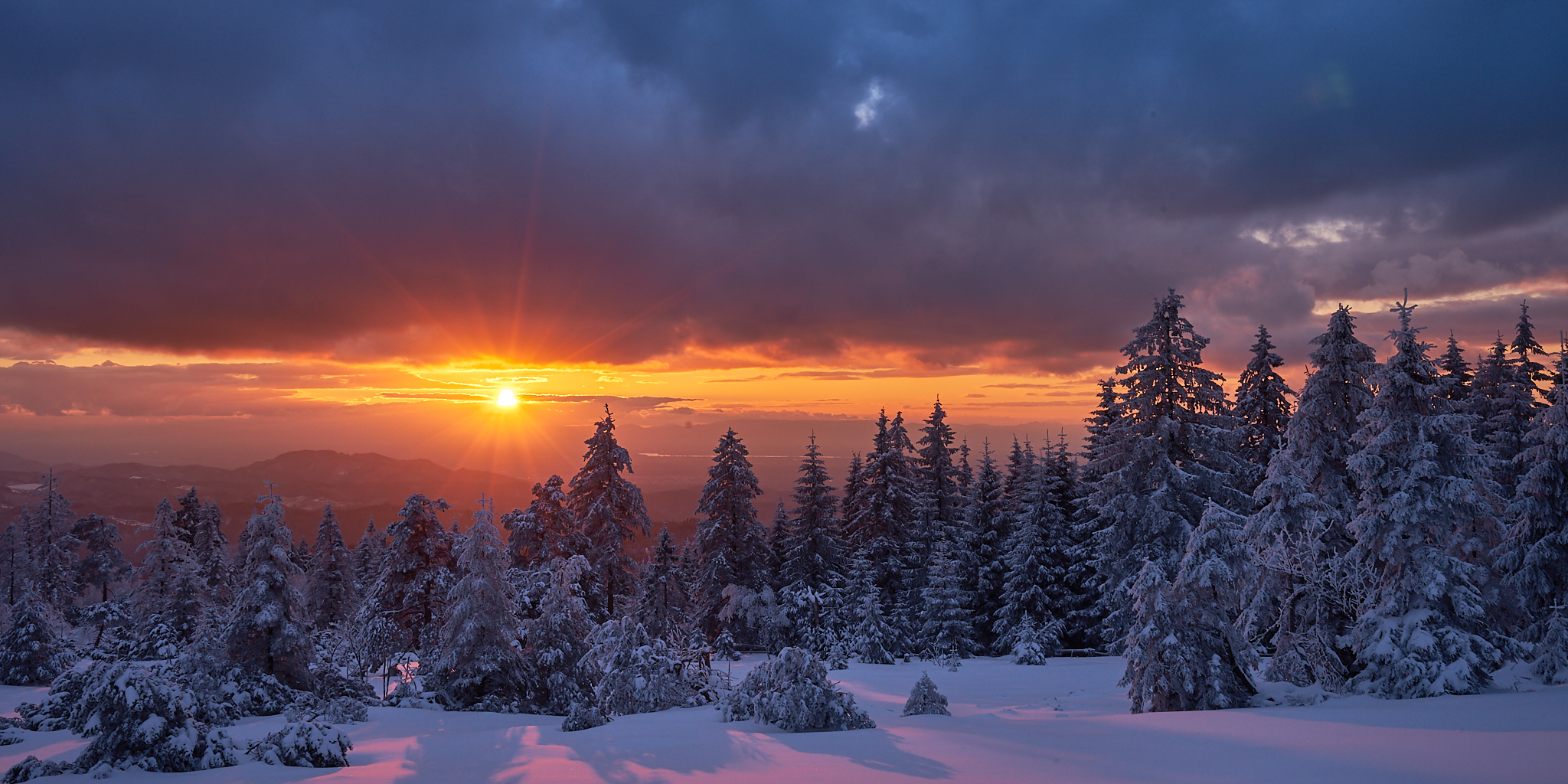 Wallpapers Germany Black Forest winter on the desktop