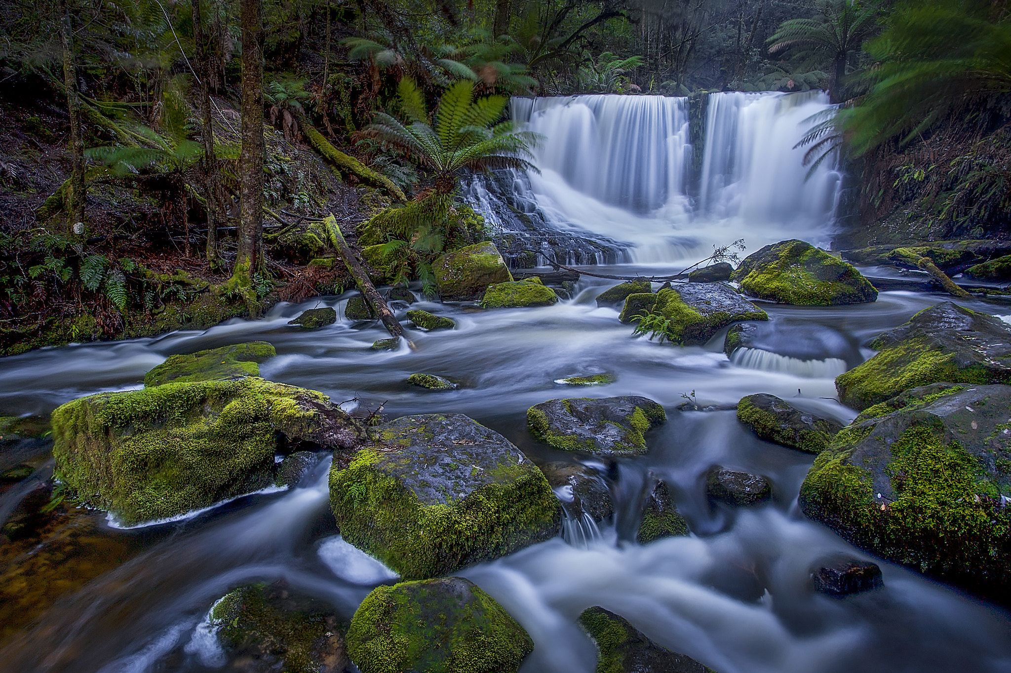 Wallpapers Horseshoe Falls silt moss on the desktop