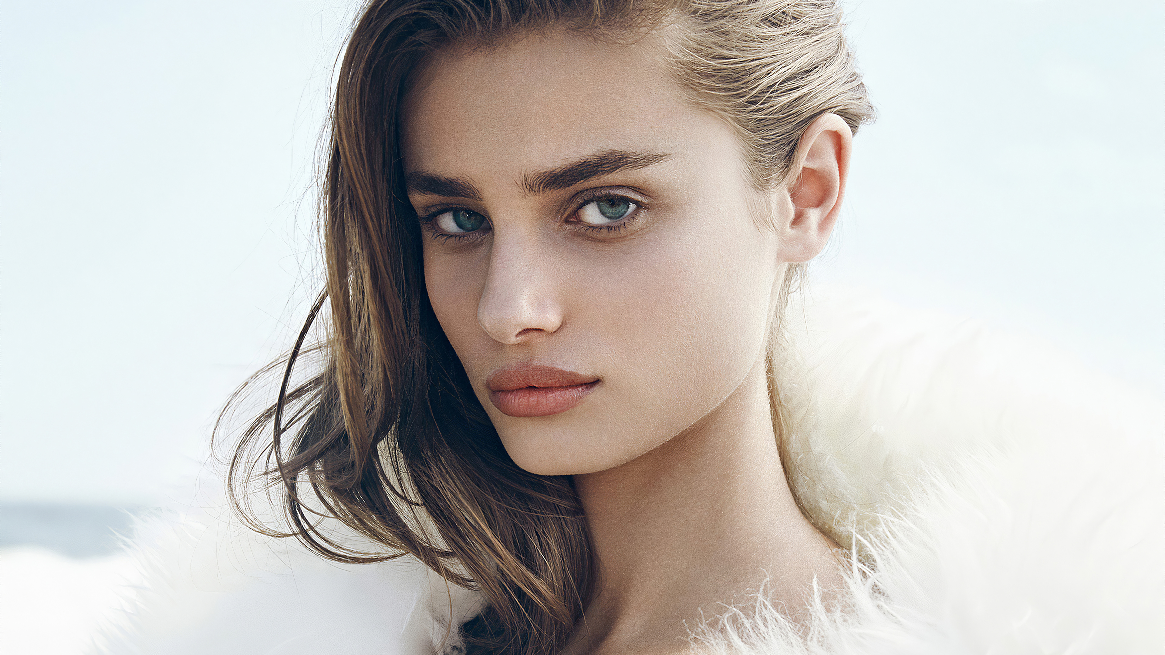 Wallpapers girls Taylor Hill celebrities on the desktop