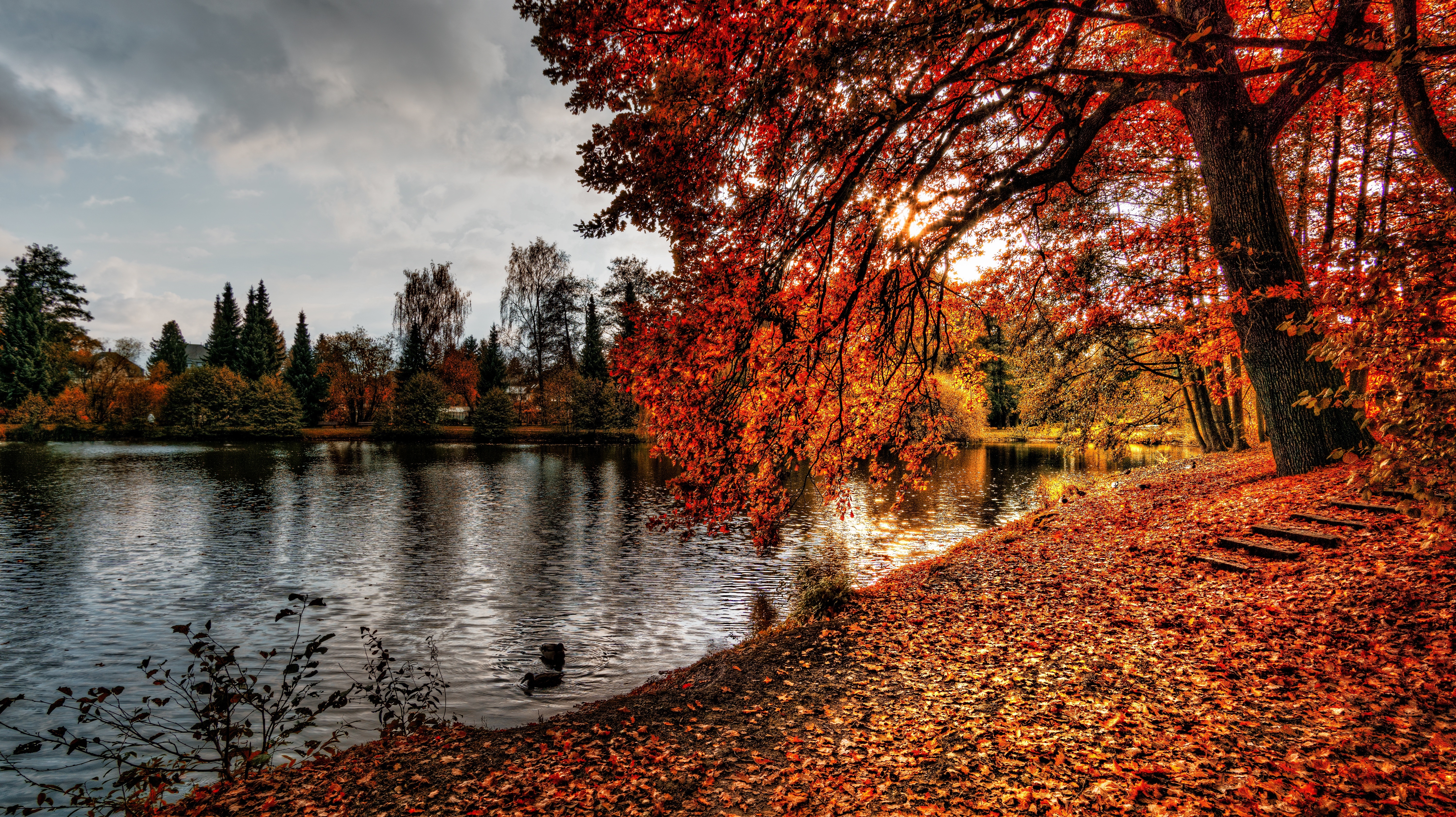 Free photo Autumn river Bank