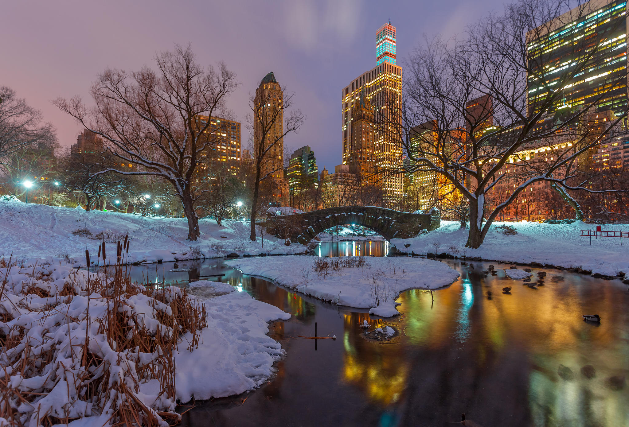 Обои город Central Park new York night Gapstow Bridge на рабочий стол