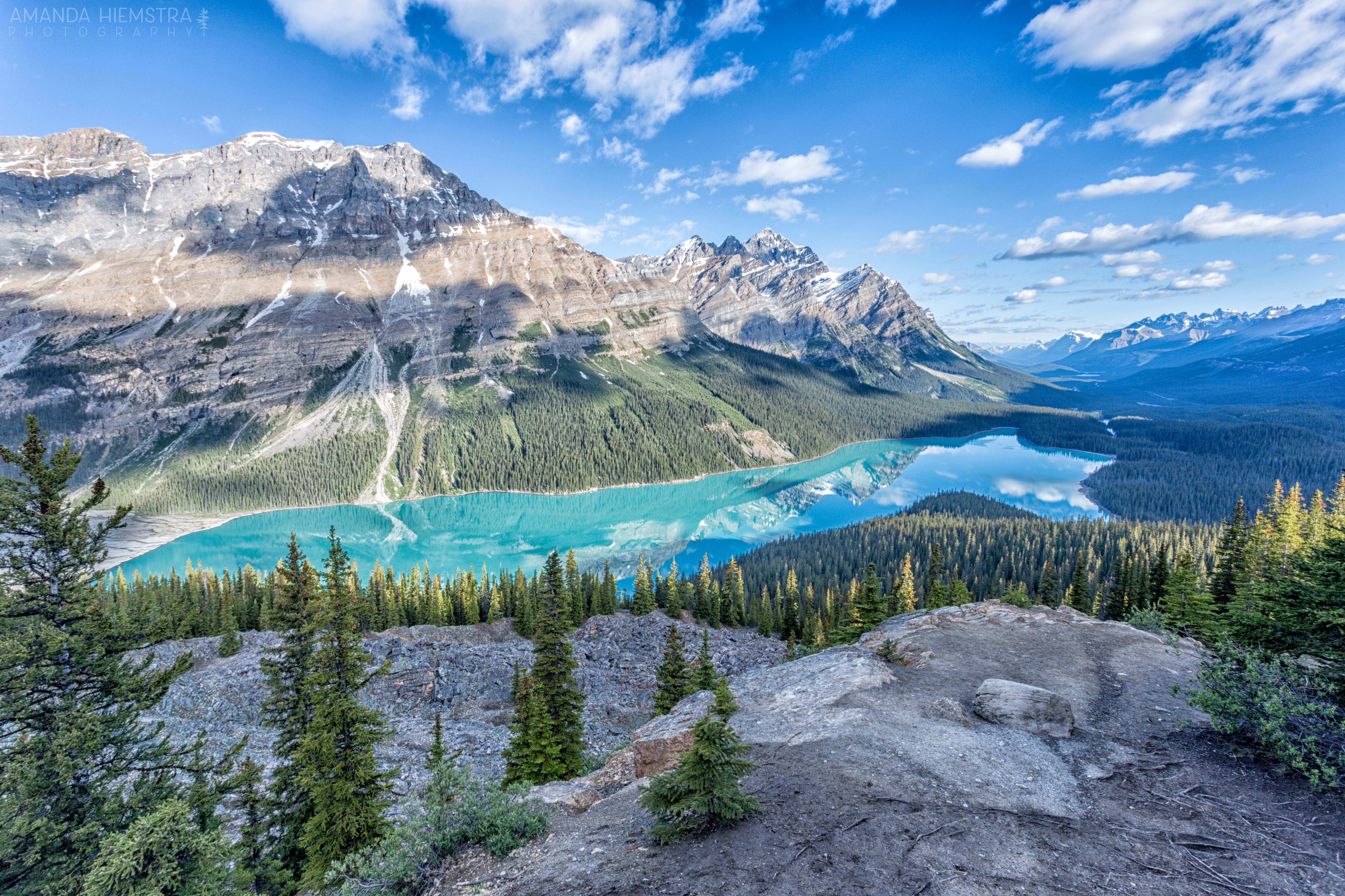 Wallpapers trees Peyto Lake Banff National Park on the desktop