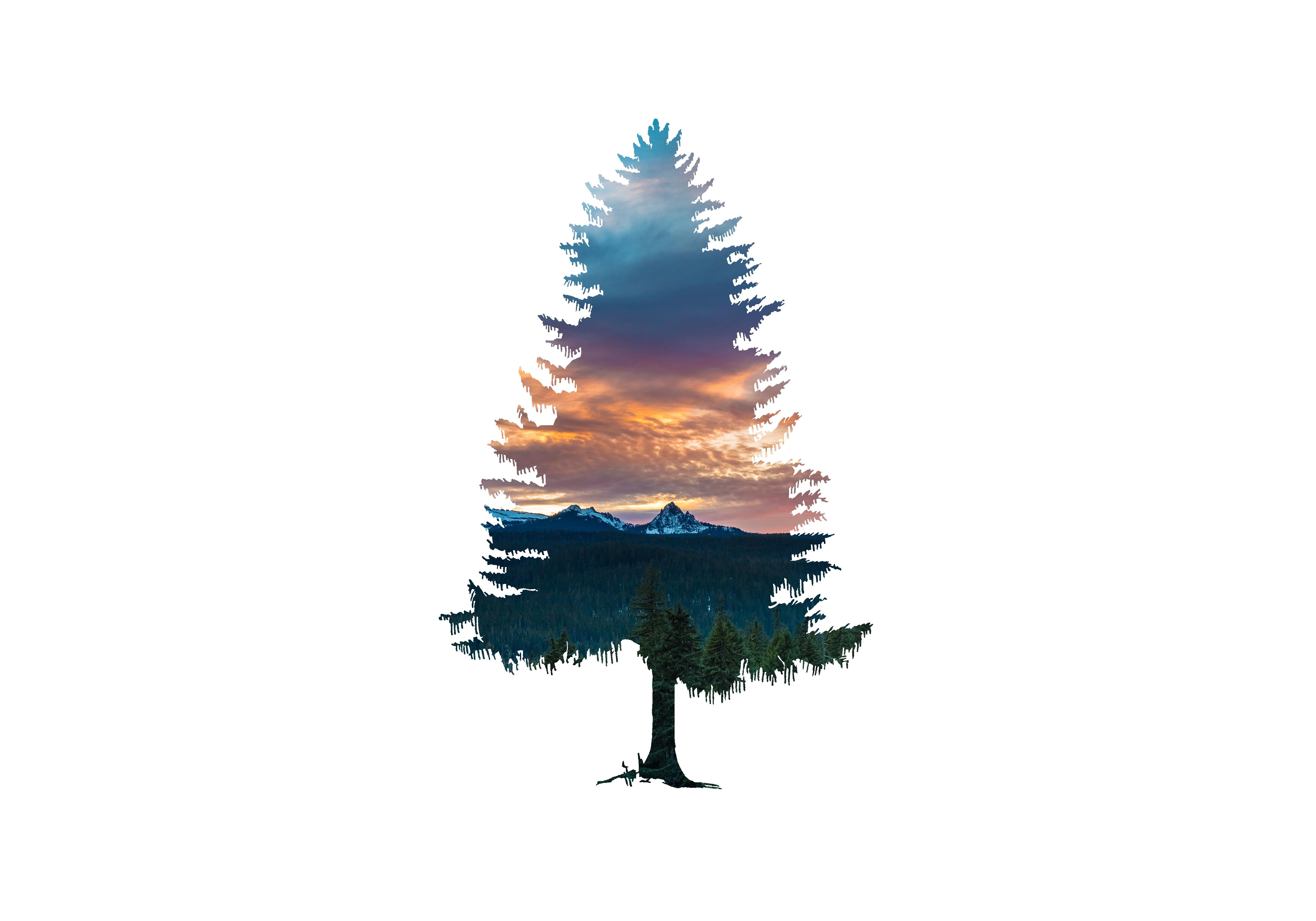 A silhouette of a Christmas tree with a landscape depicted in it