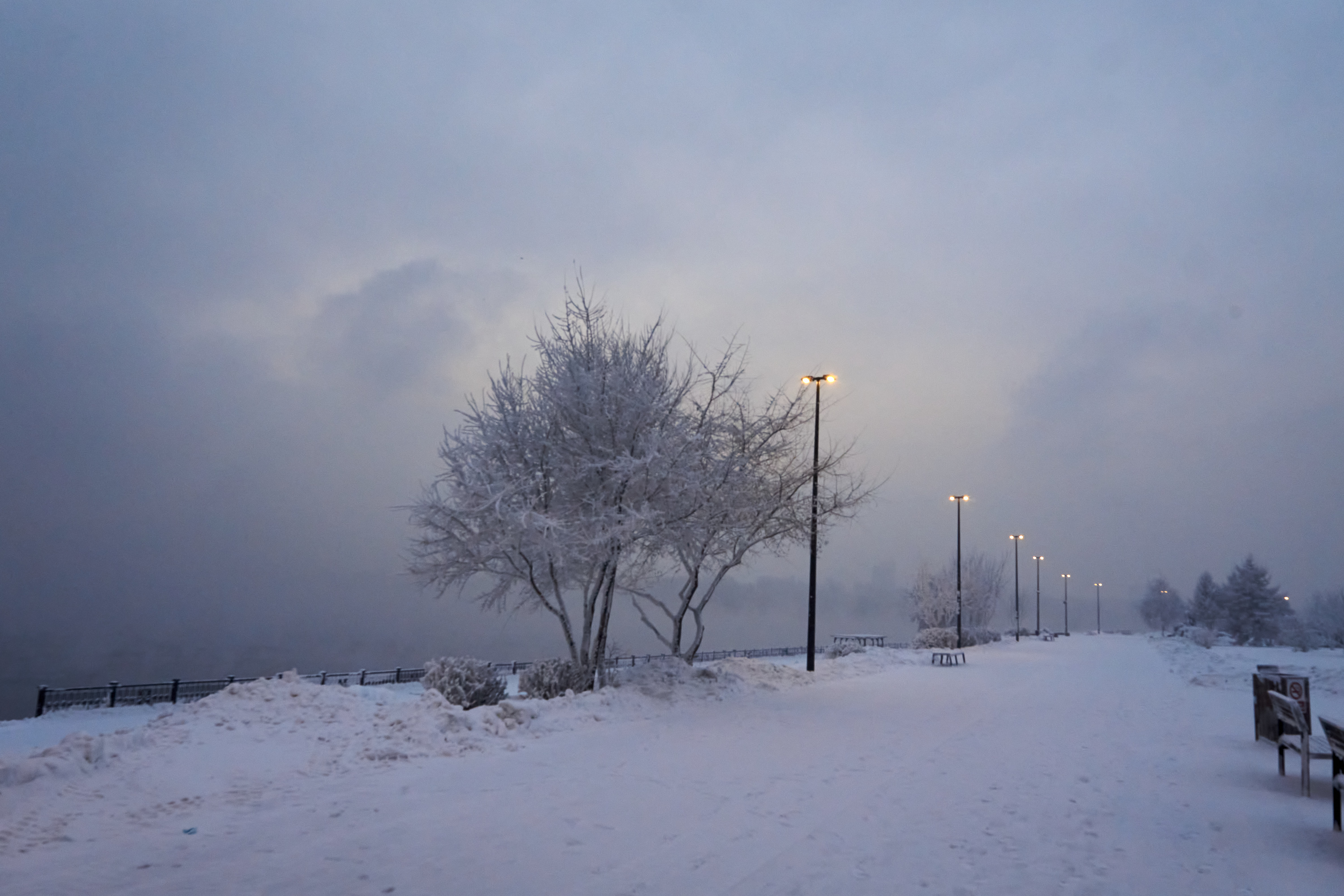 Free photo A winter snowy evening in the countryside with the lights on