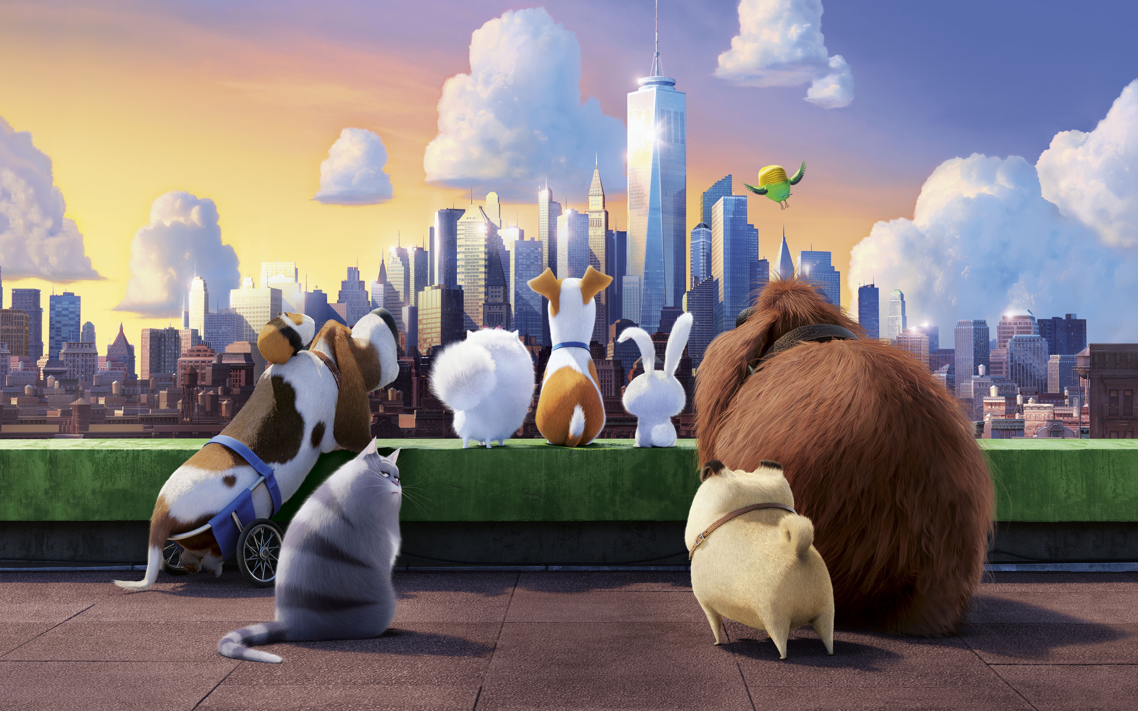 Free photo The Secret Life Of Pets