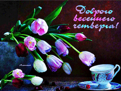 主题为郁金香 杯 花束的明信片免费下载