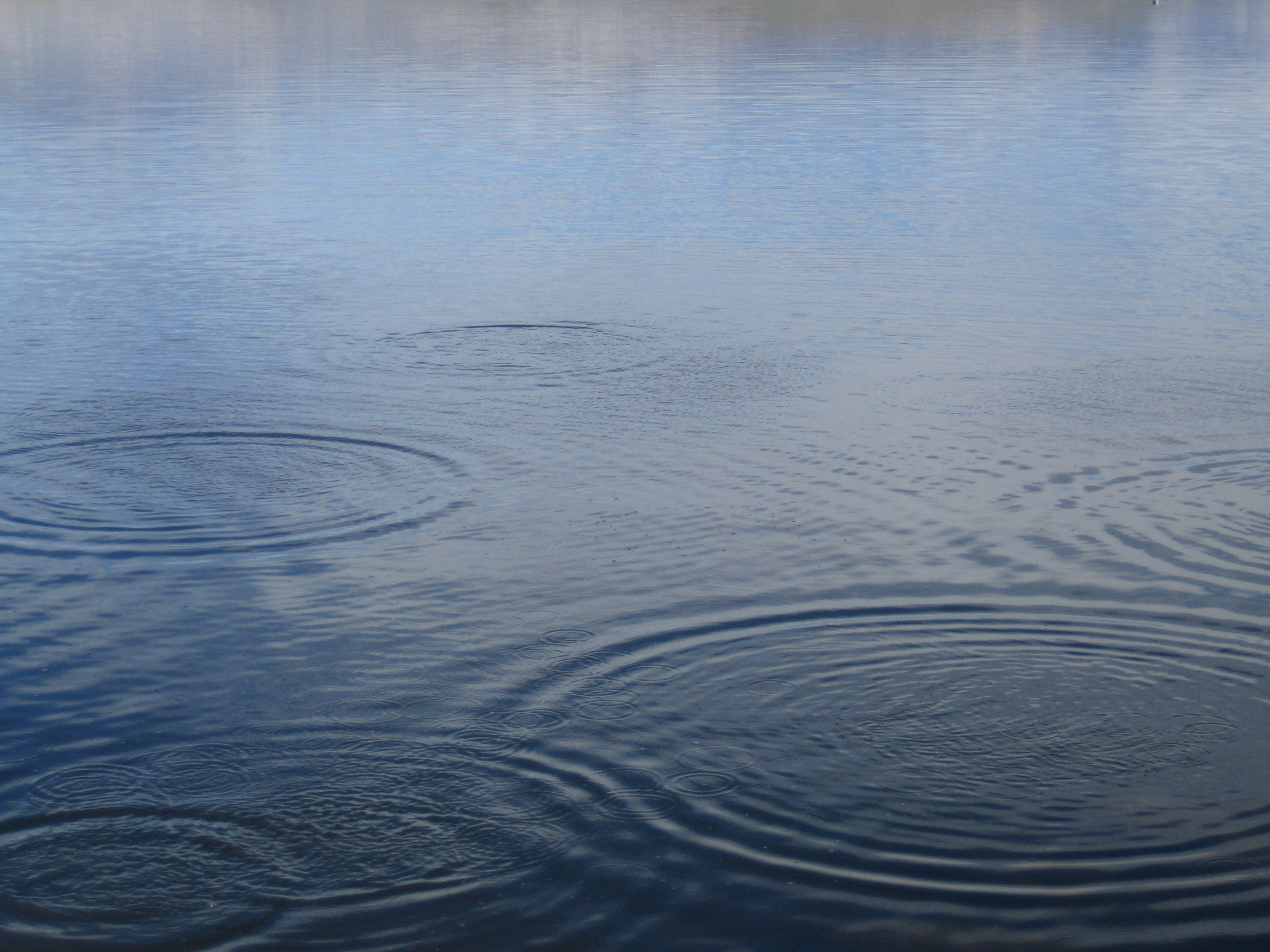 Wallpapers sea coast water on the desktop