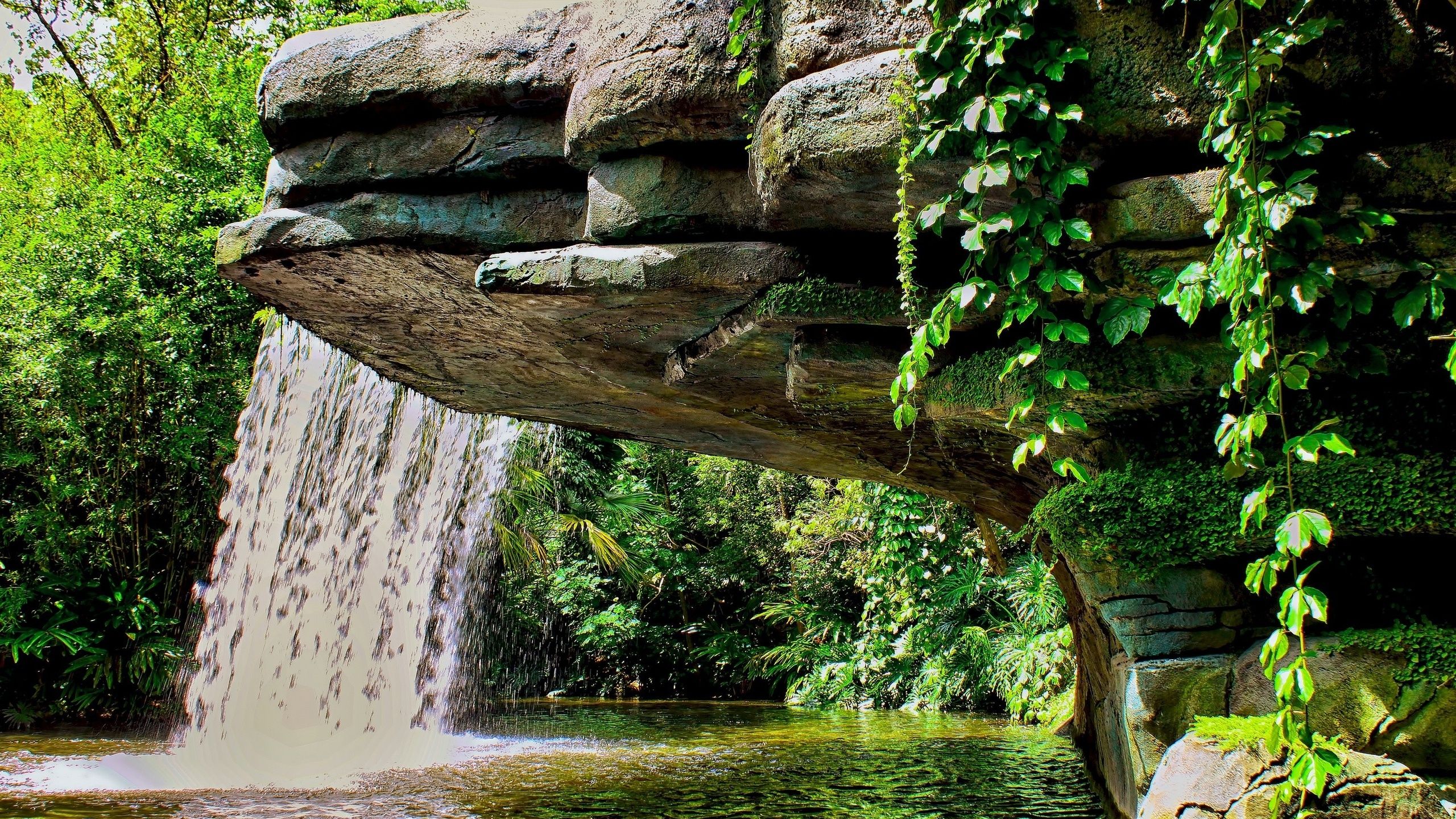 Free photo Waterfall and pond