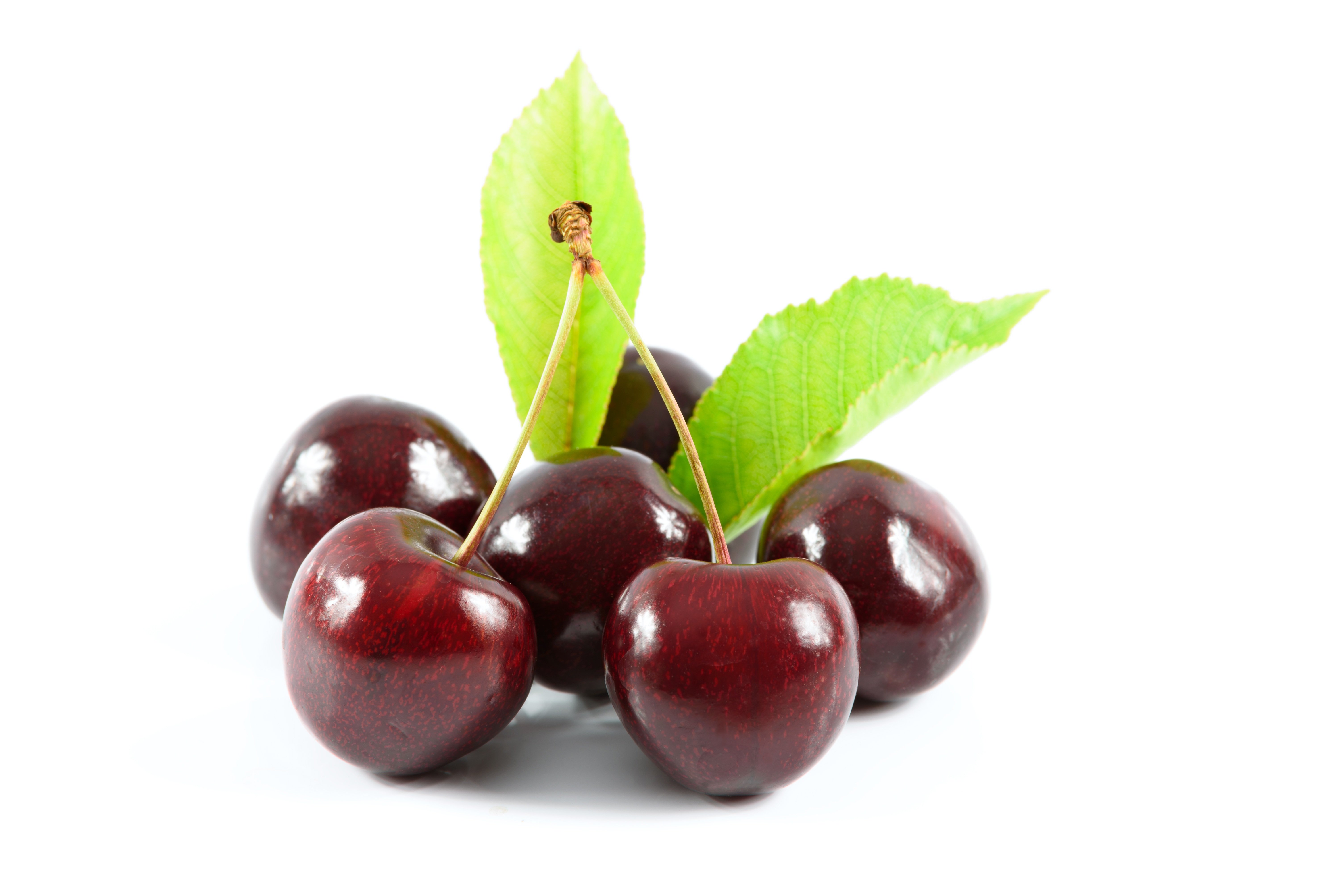 Free photo Cherries on a white background