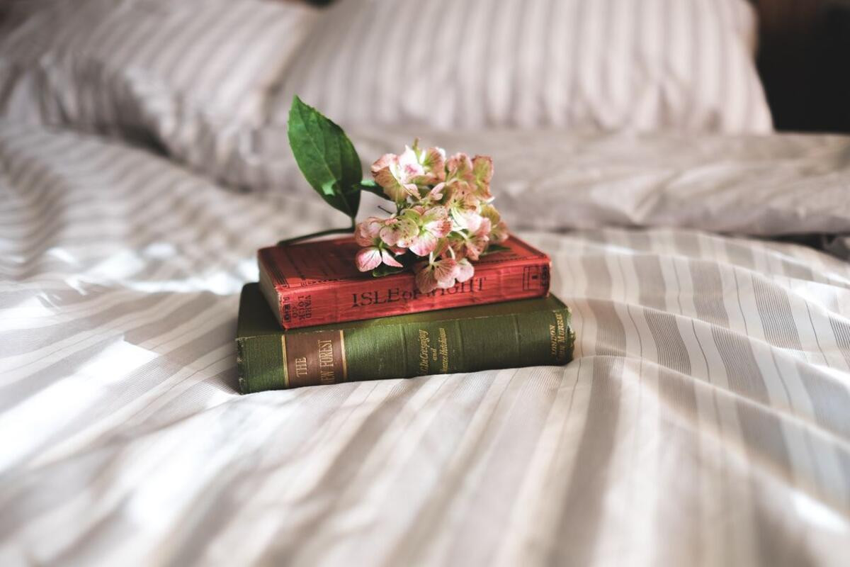 Wallpapers books a bloom bed on the desktop