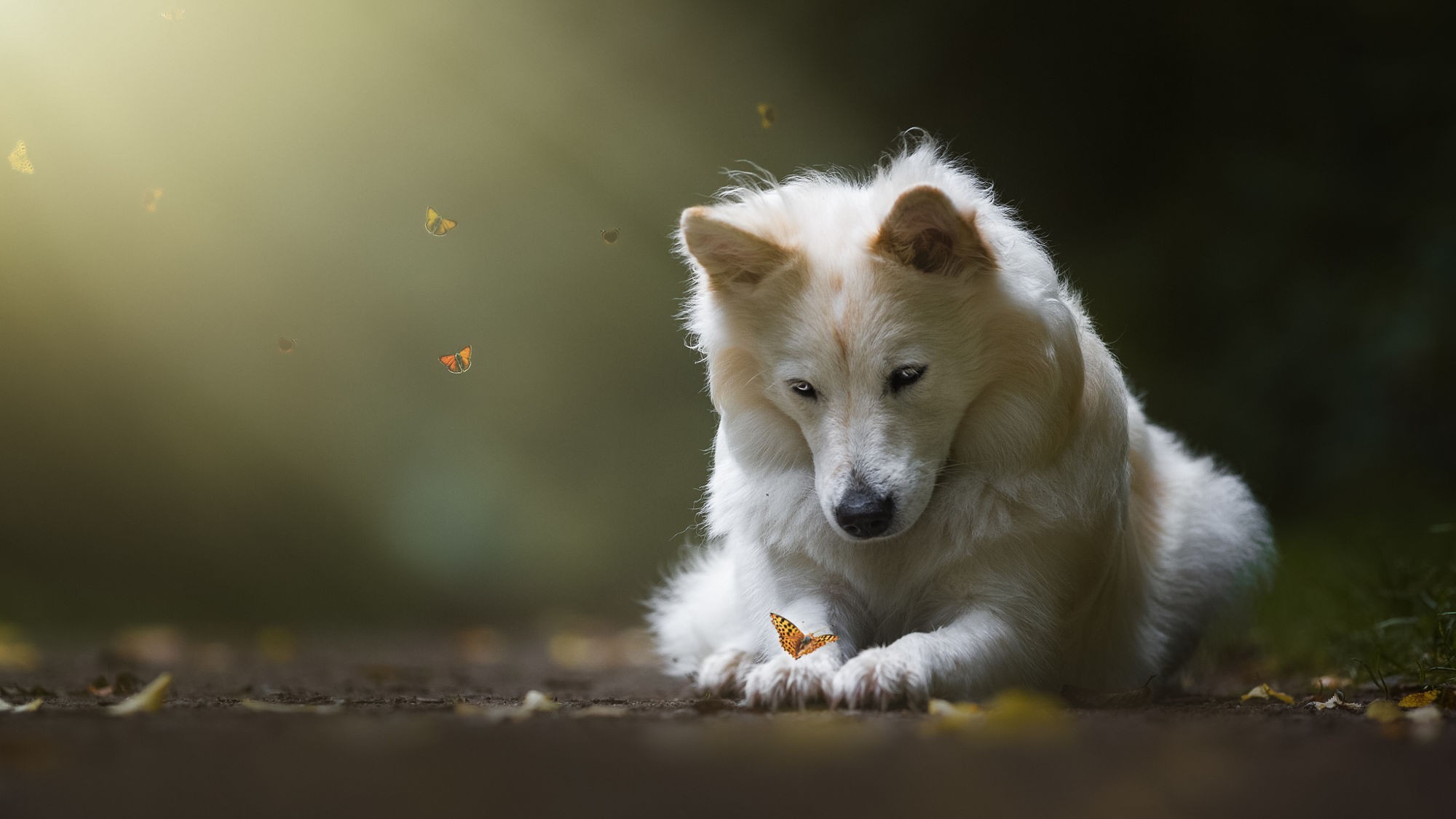 Съесть или не съесть, вот в чем вопрос