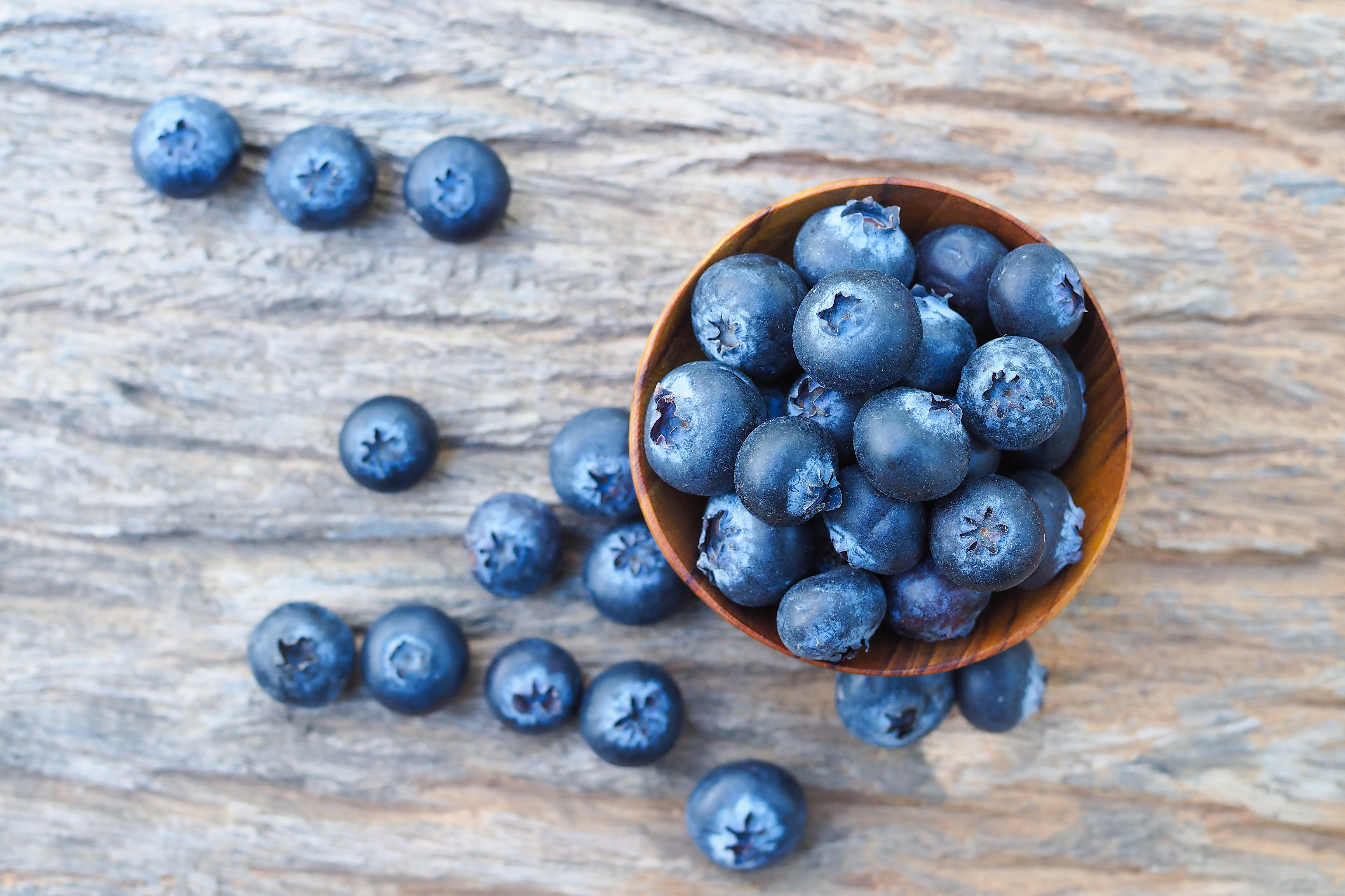 Blueberries in pialki