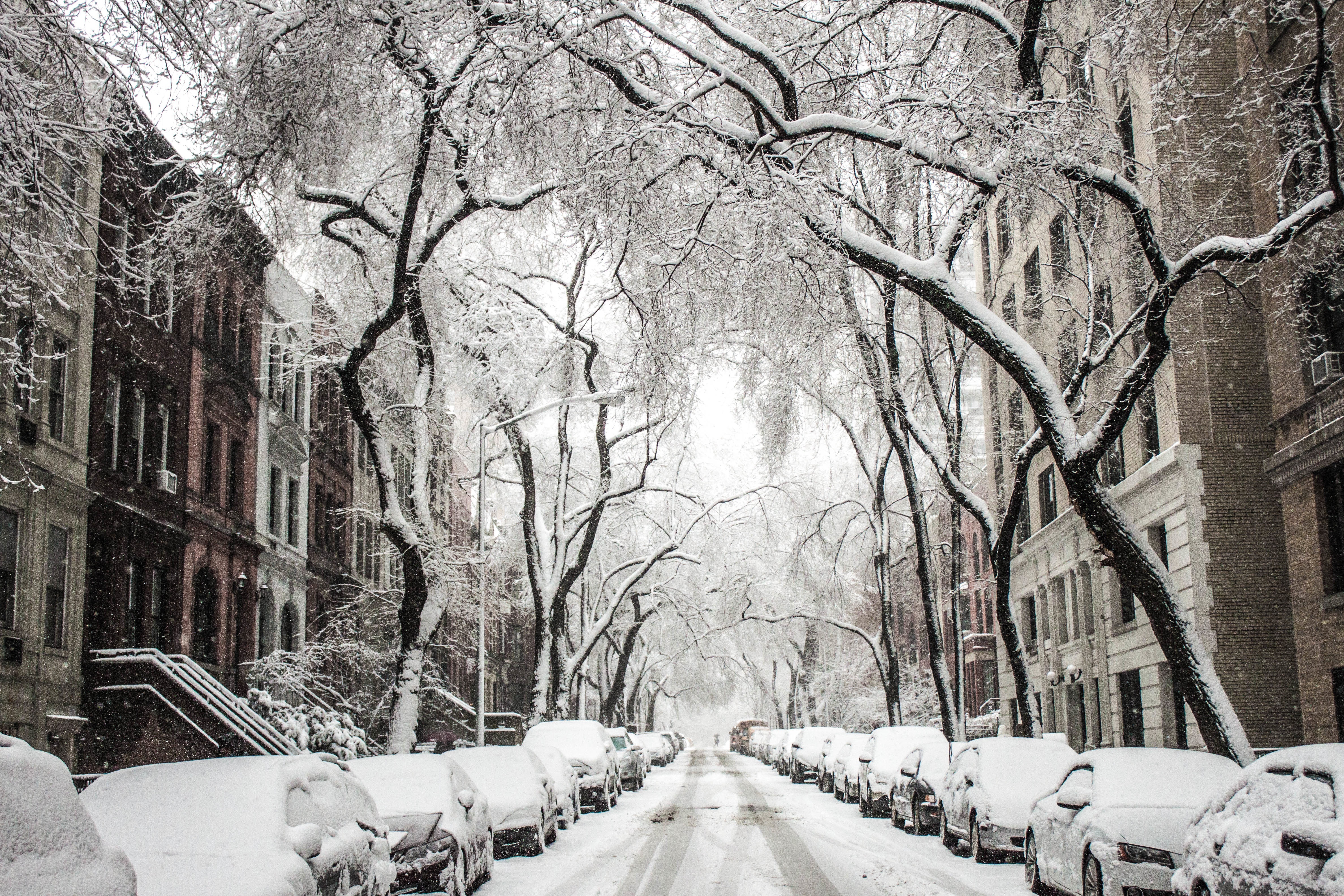 Free photo The first snow in the yards of New York City