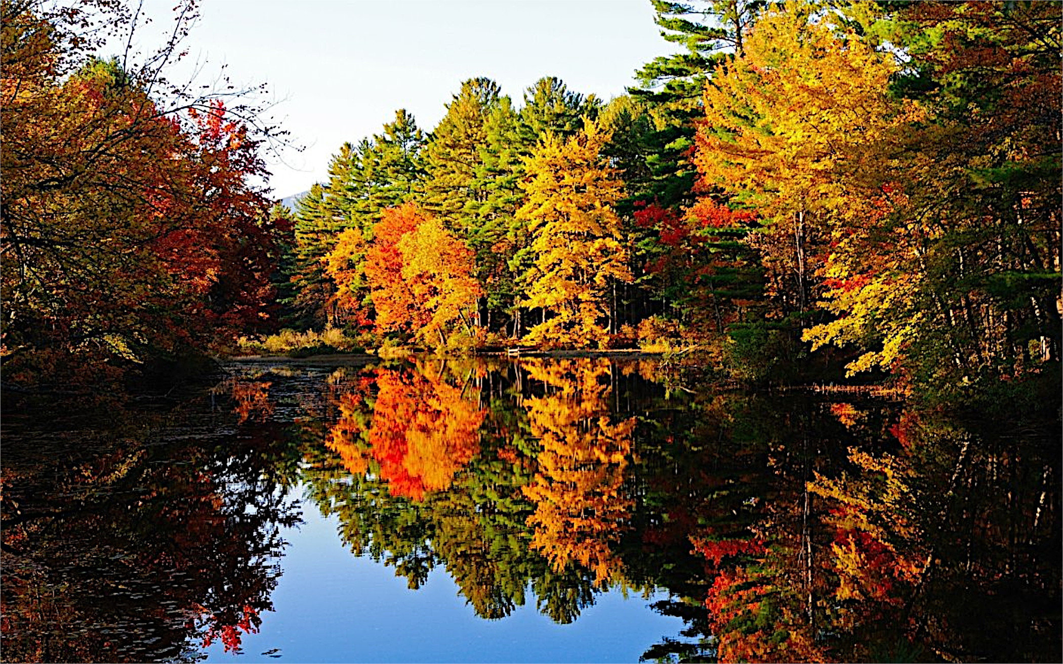 Free photo A small lake in the fall woods