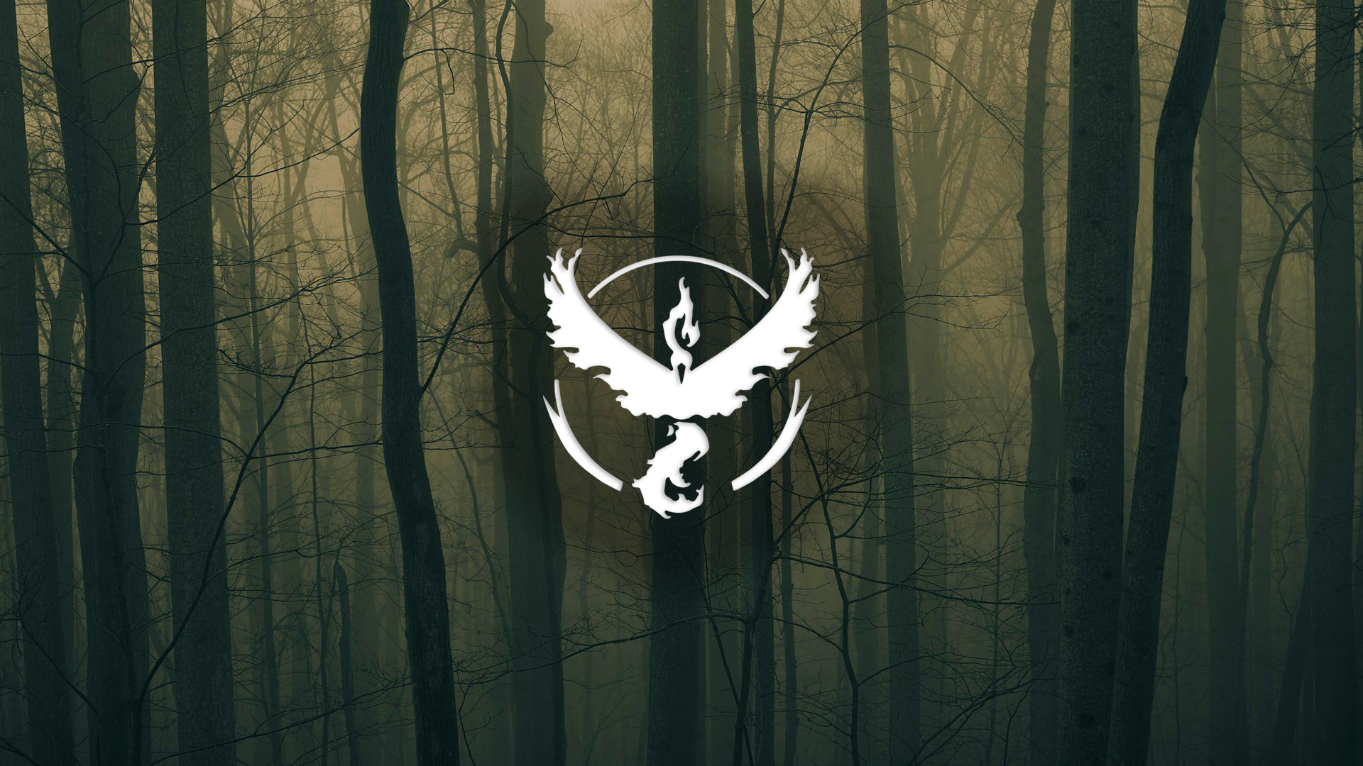 Обои деревья белый отражение на рабочий стол