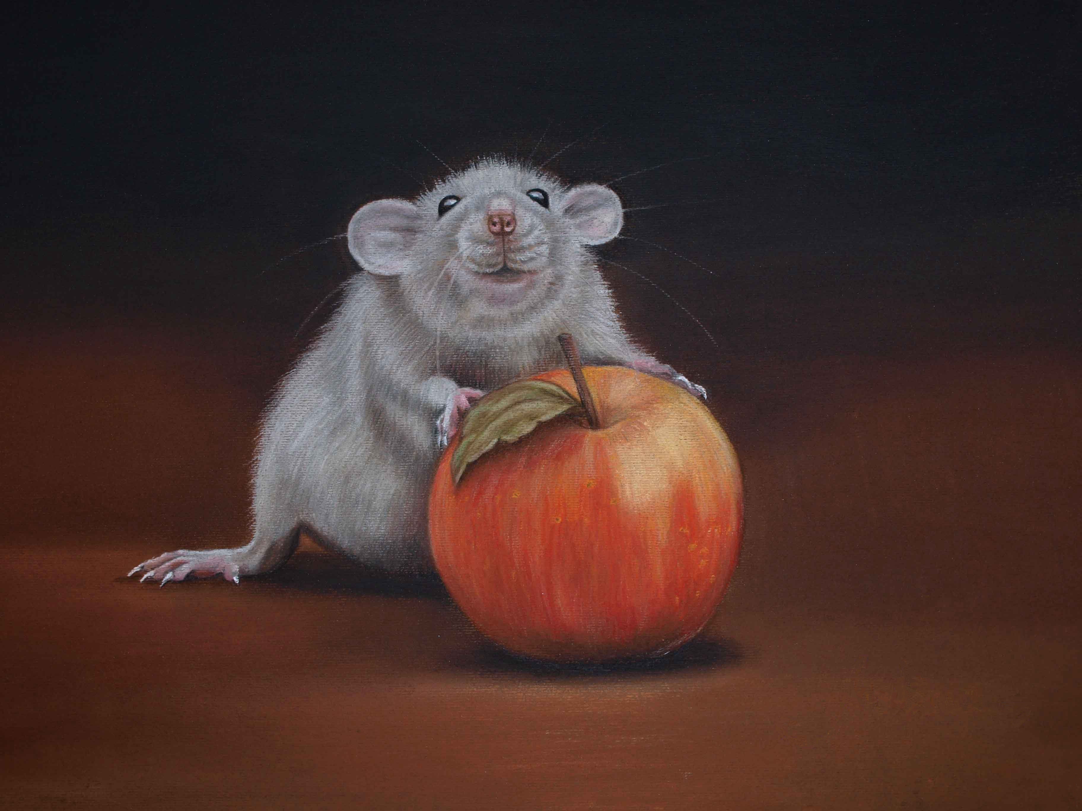 Wallpapers rat Apple art on the desktop