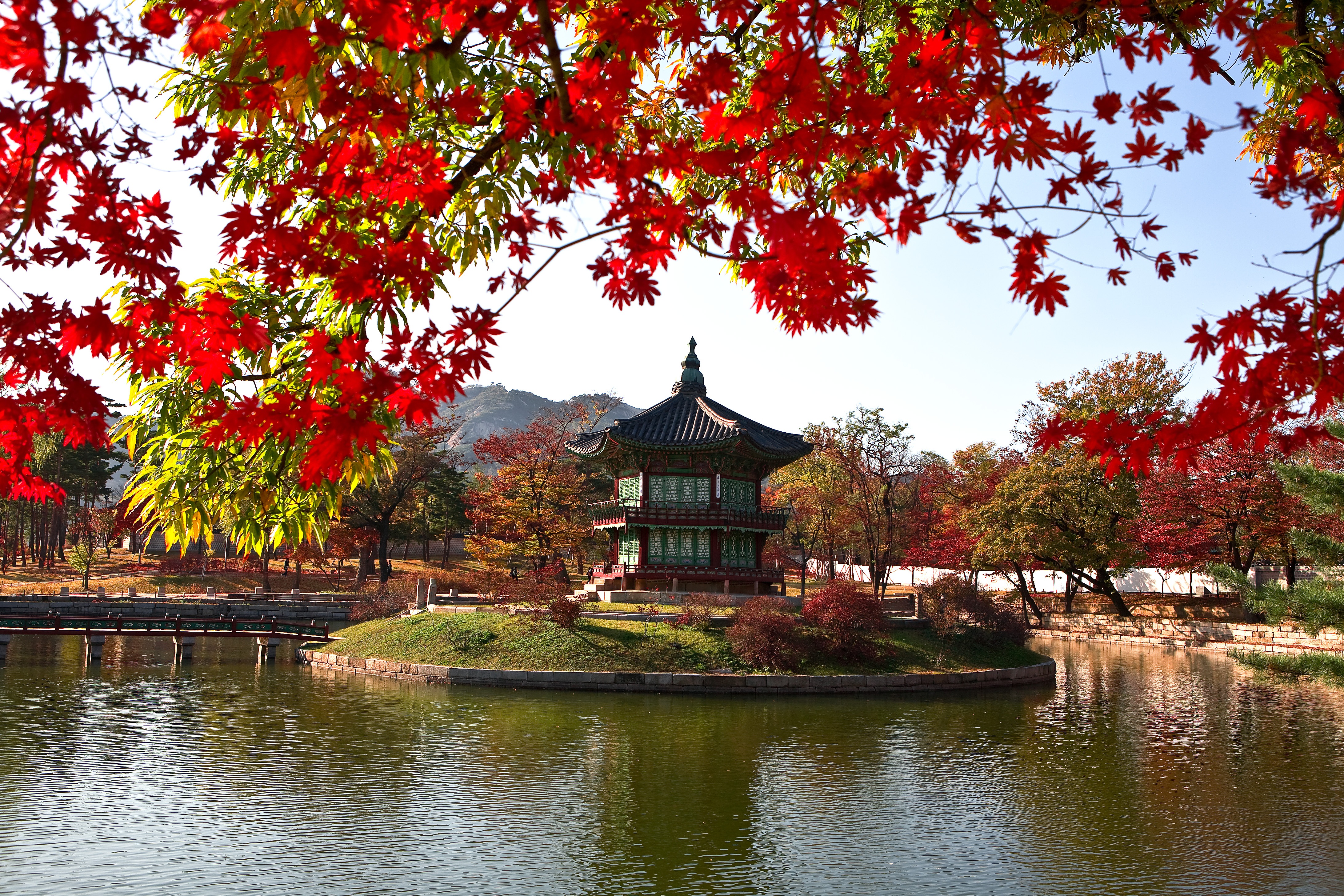 Free photo Autumn in Japan