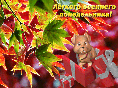 主题为狗狗 馈赠 分支机构的明信片免费下载