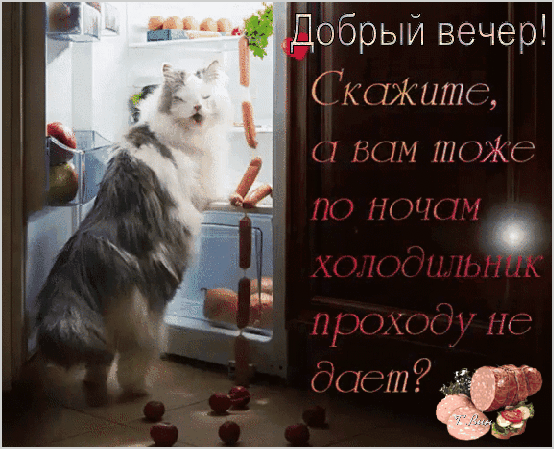 Открытка на тему добрый вечер природа скачать бесплатно