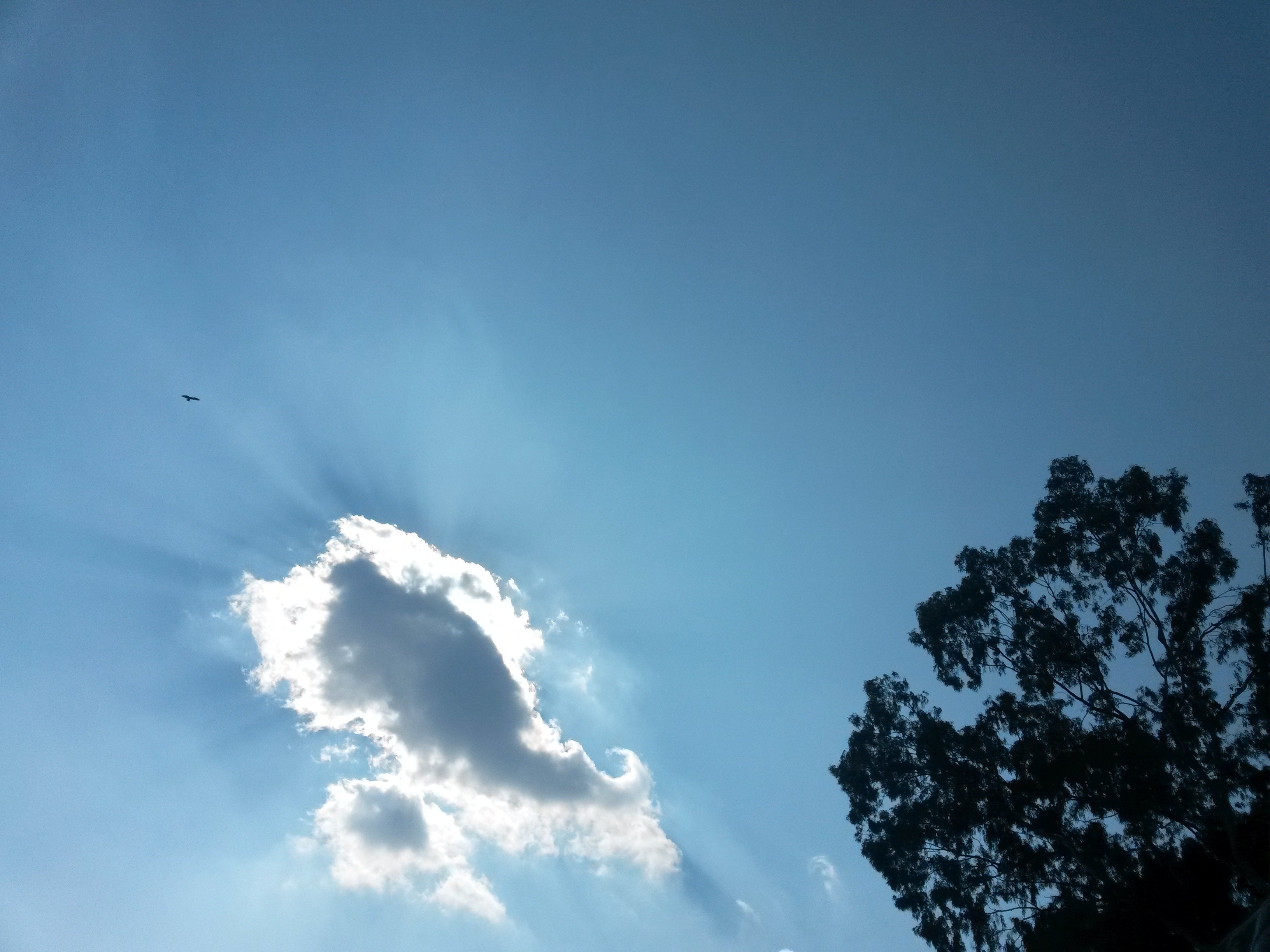 Wallpapers sunlight lights sky on the desktop