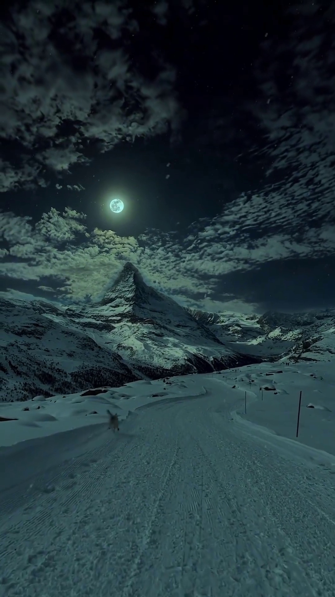 Бесплатное видео Гуляю с собакой зимней ночью в горах