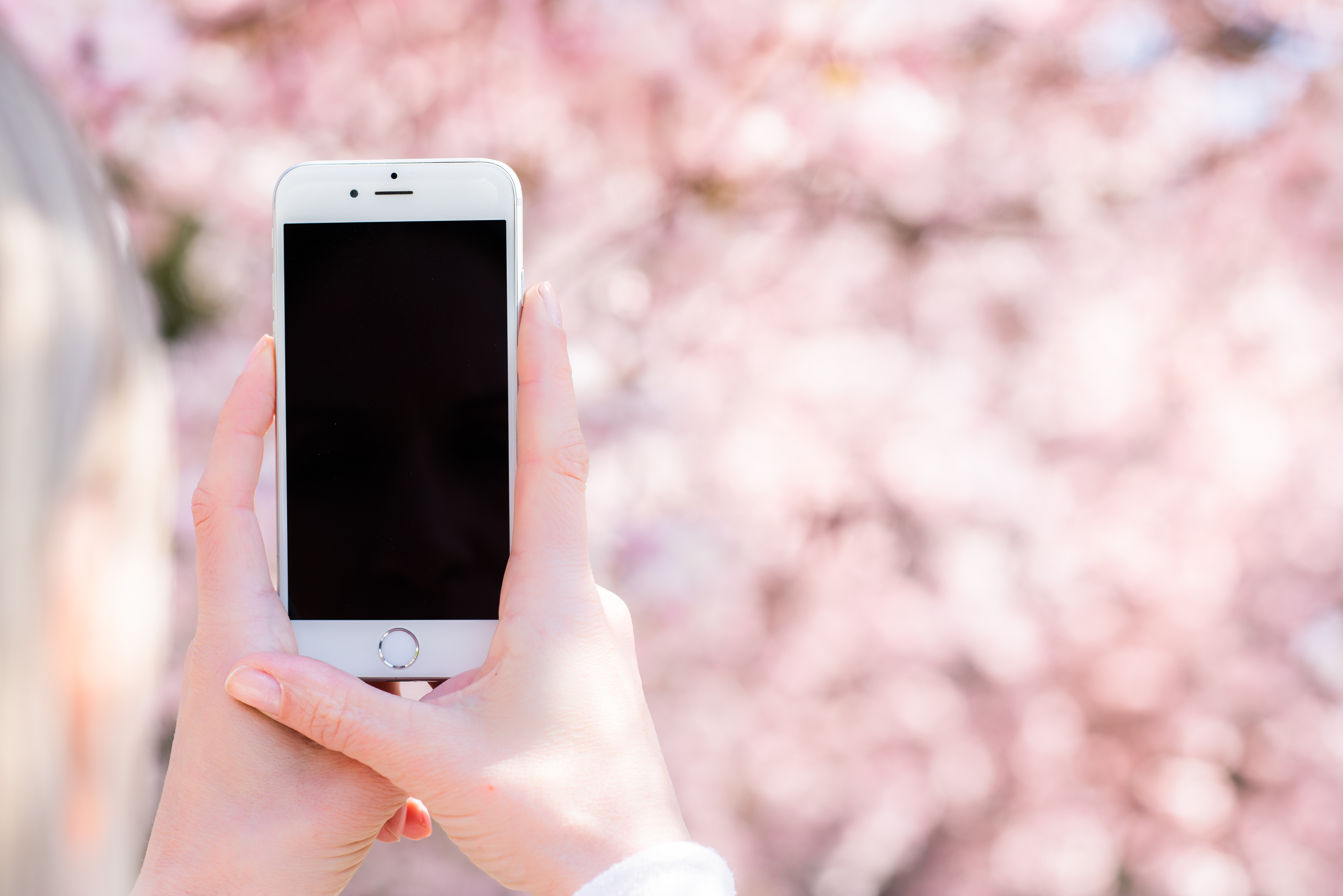 桌面上的壁纸手上 收藏品 电话