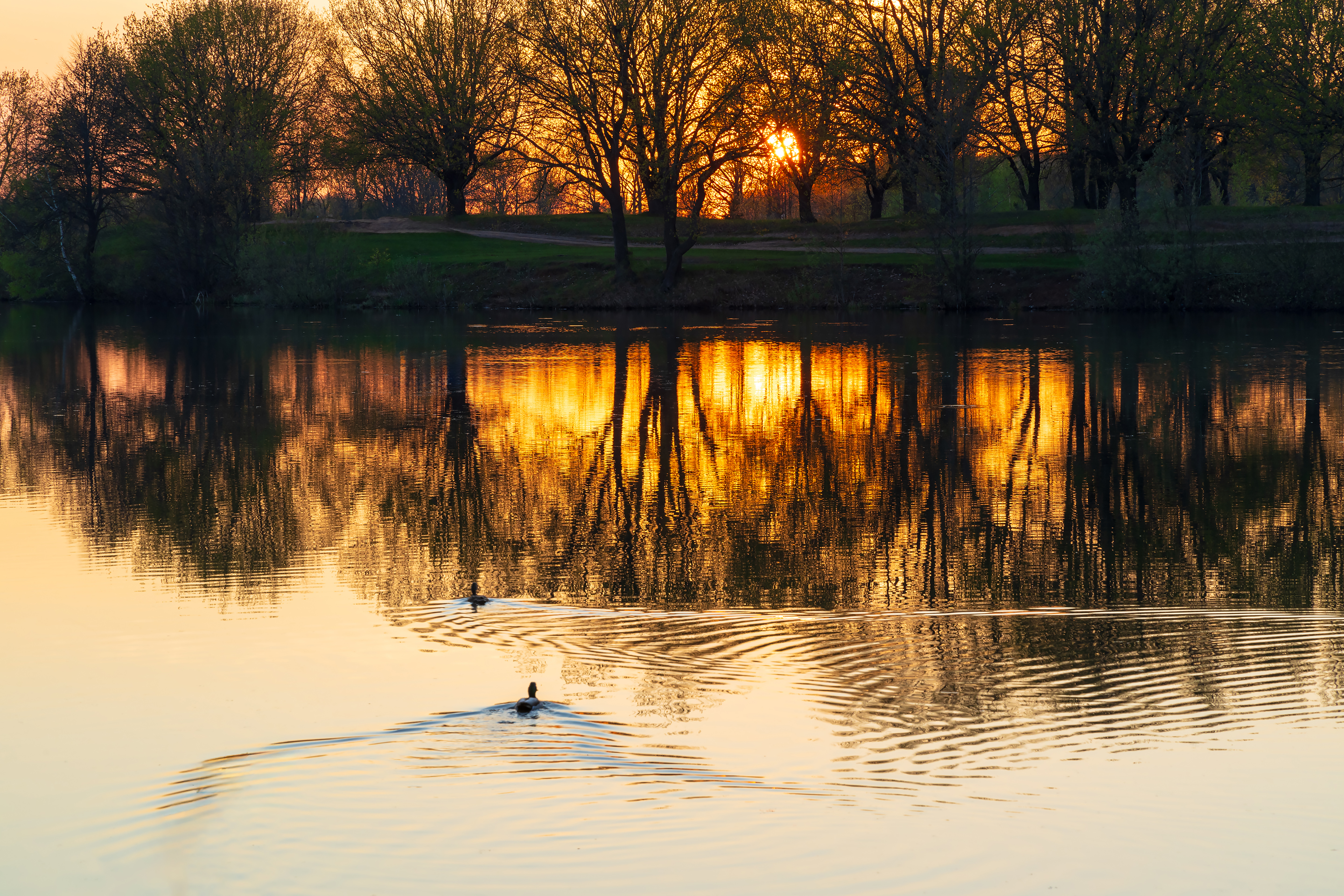 Free photo Sunset landscape on the lake