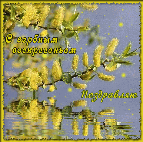 Postcard on the theme reflection palm sunday water download for free