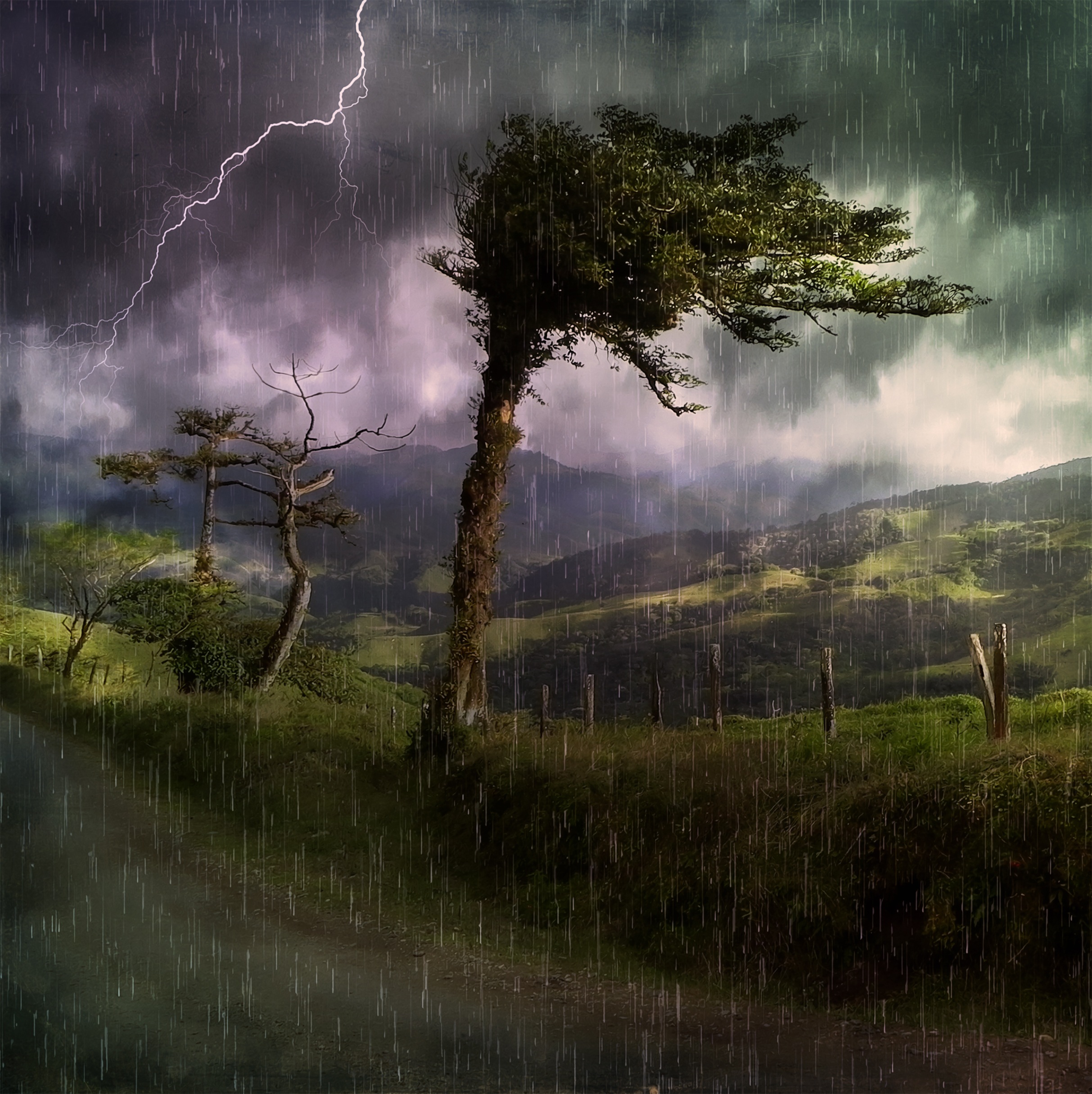 landscape,tree,nature,forest,marsh,swamp,cloud,sky,mist,morning,rain,reflection,weather,storm,painting,trees,flash,clouds,forests,wetland,thunderstorm,habitat,away,reported,digital painting,natural environment,atmospheric phenomenon,woody plant,free Images,landscapes