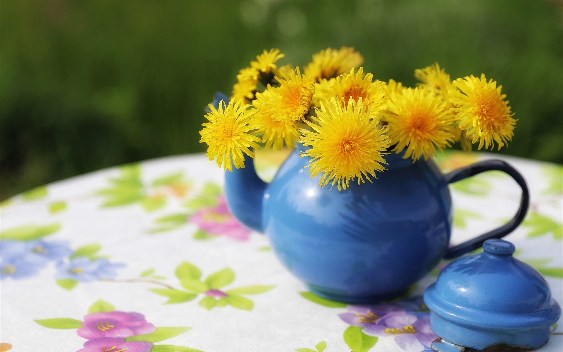 Blue teapot with yellow dandelions
