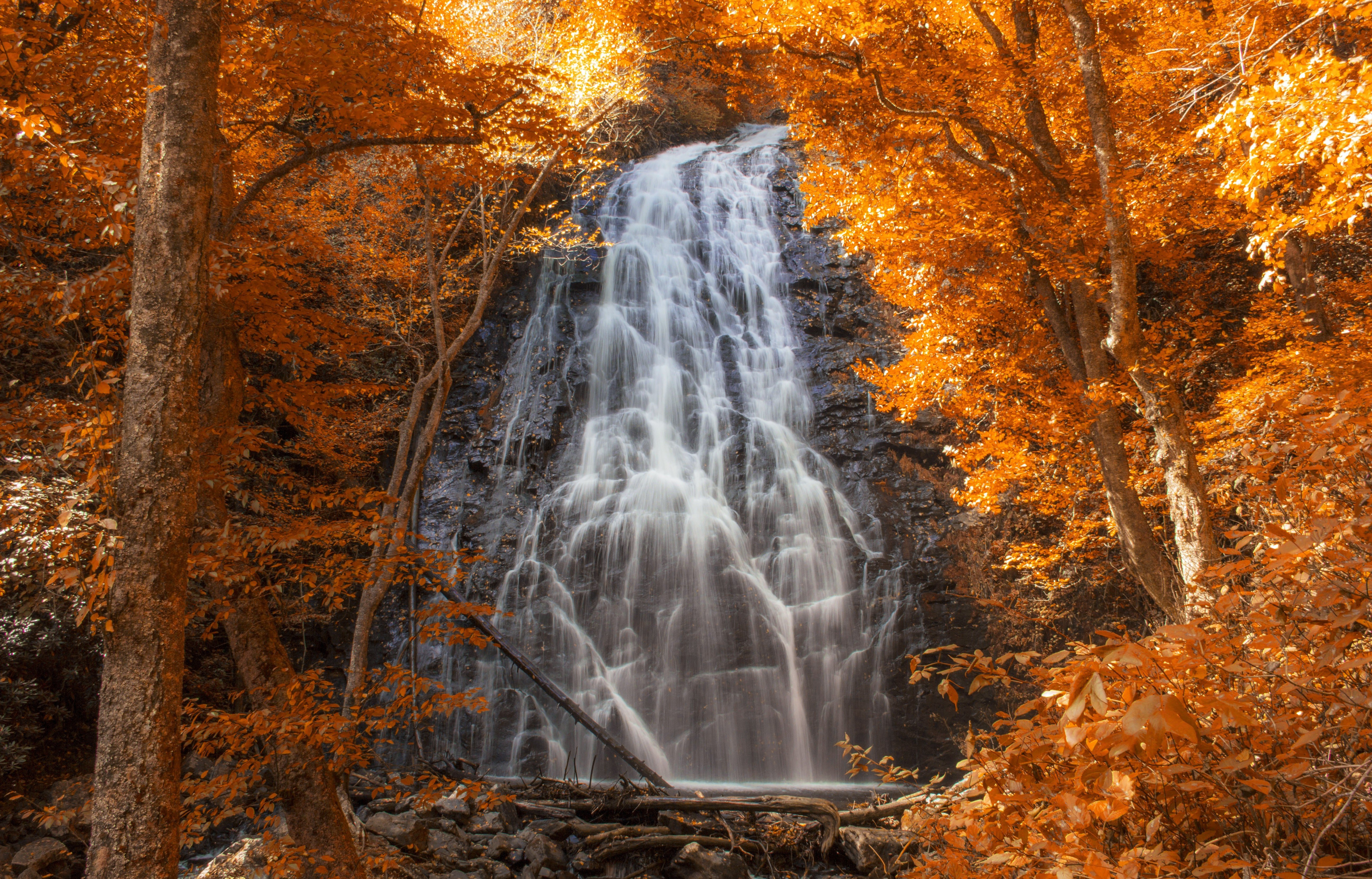 Wallpapers autumn cascade forest on the desktop
