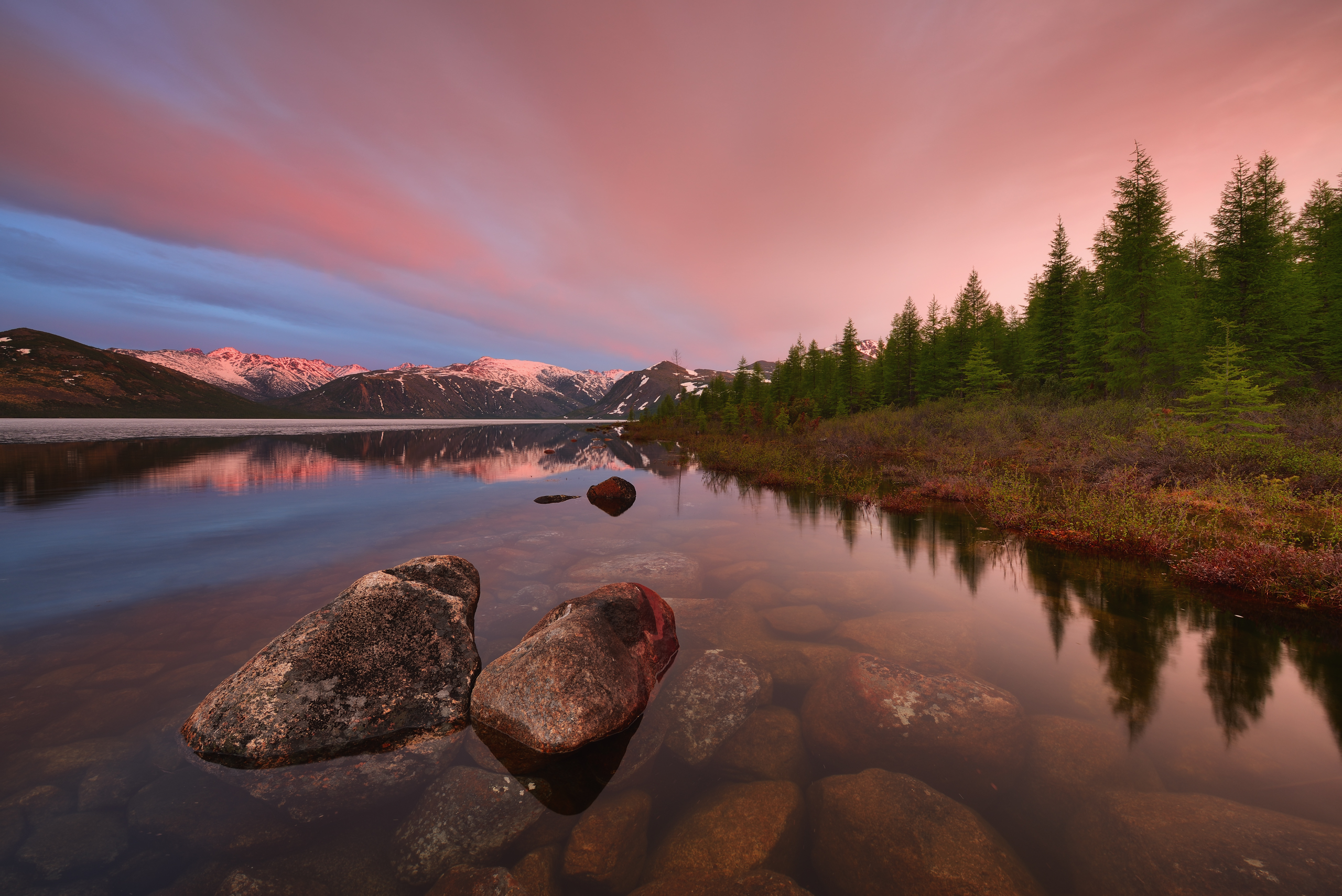 Free photo Forest in the mirror of water