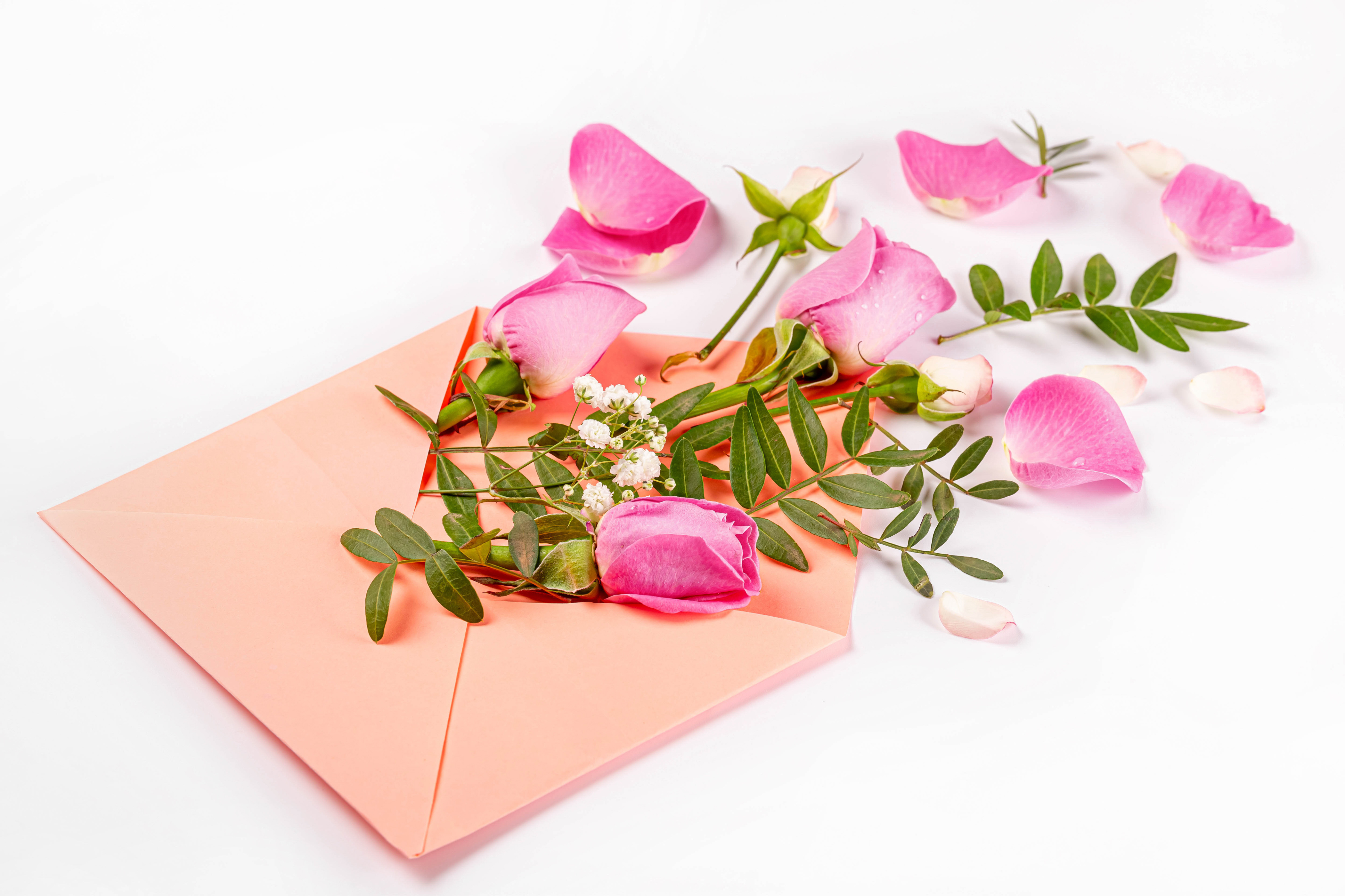 Wallpapers flowers envelope roses on the desktop