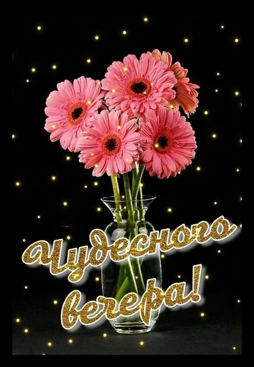 Postcard on the theme good evening nature download for free