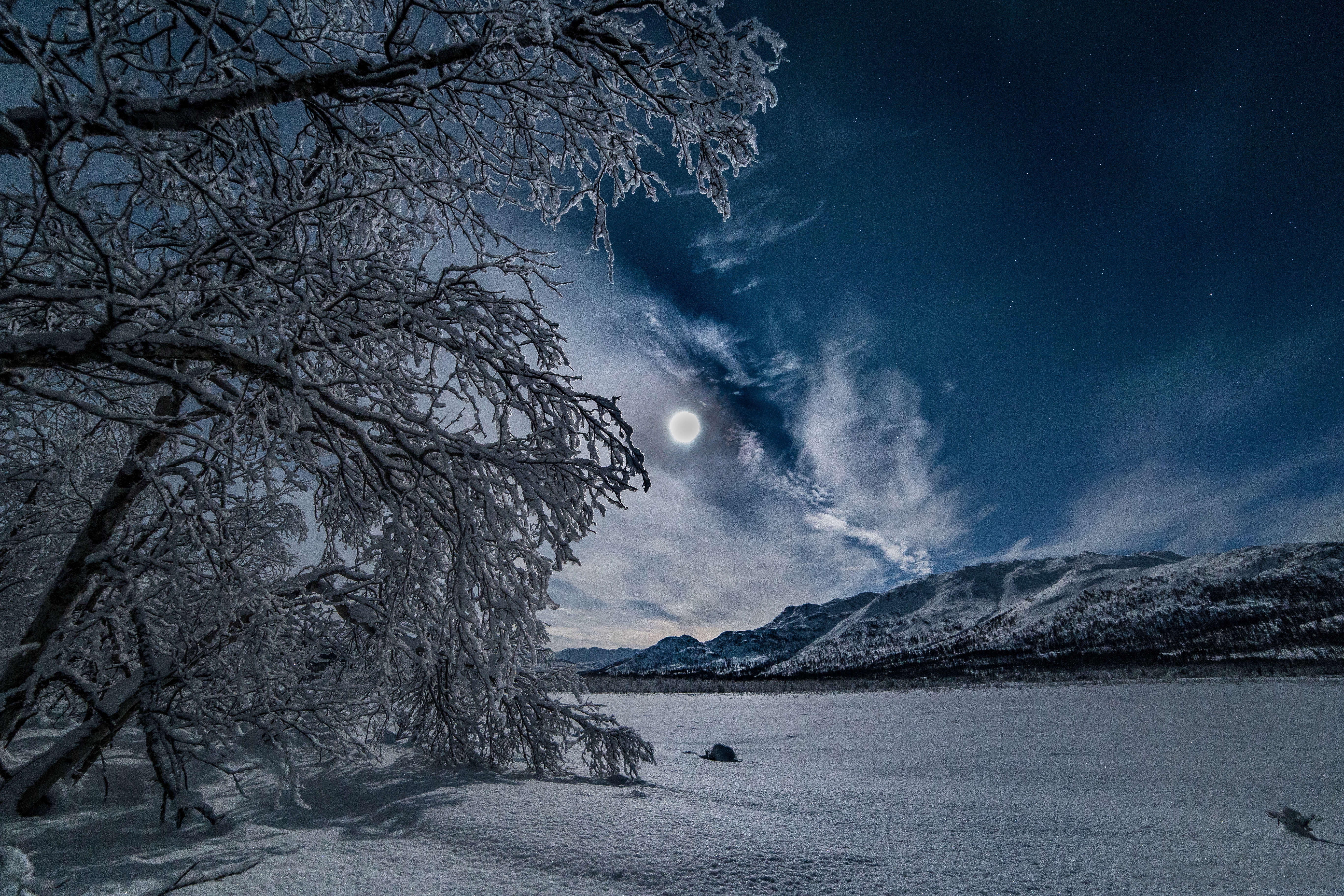 Wallpapers moonlit night winter night on the desktop