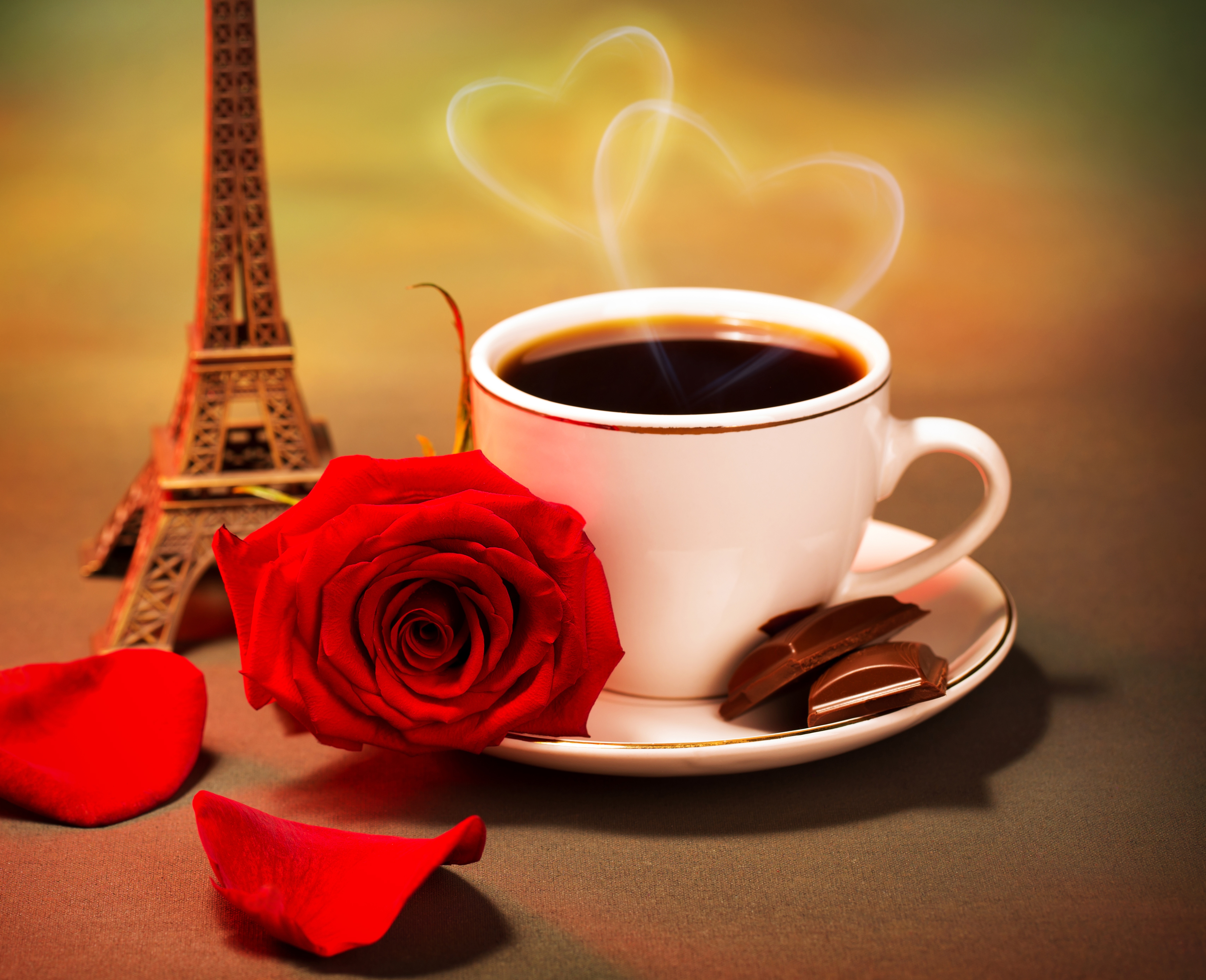 Wallpapers cofe chocolade roses on the desktop