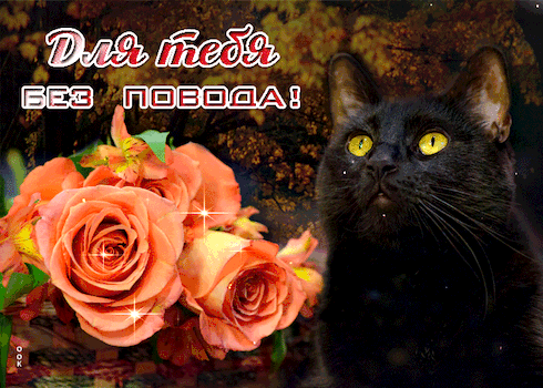 Открытка на тему для тебя без повода цветы розы скачать бесплатно