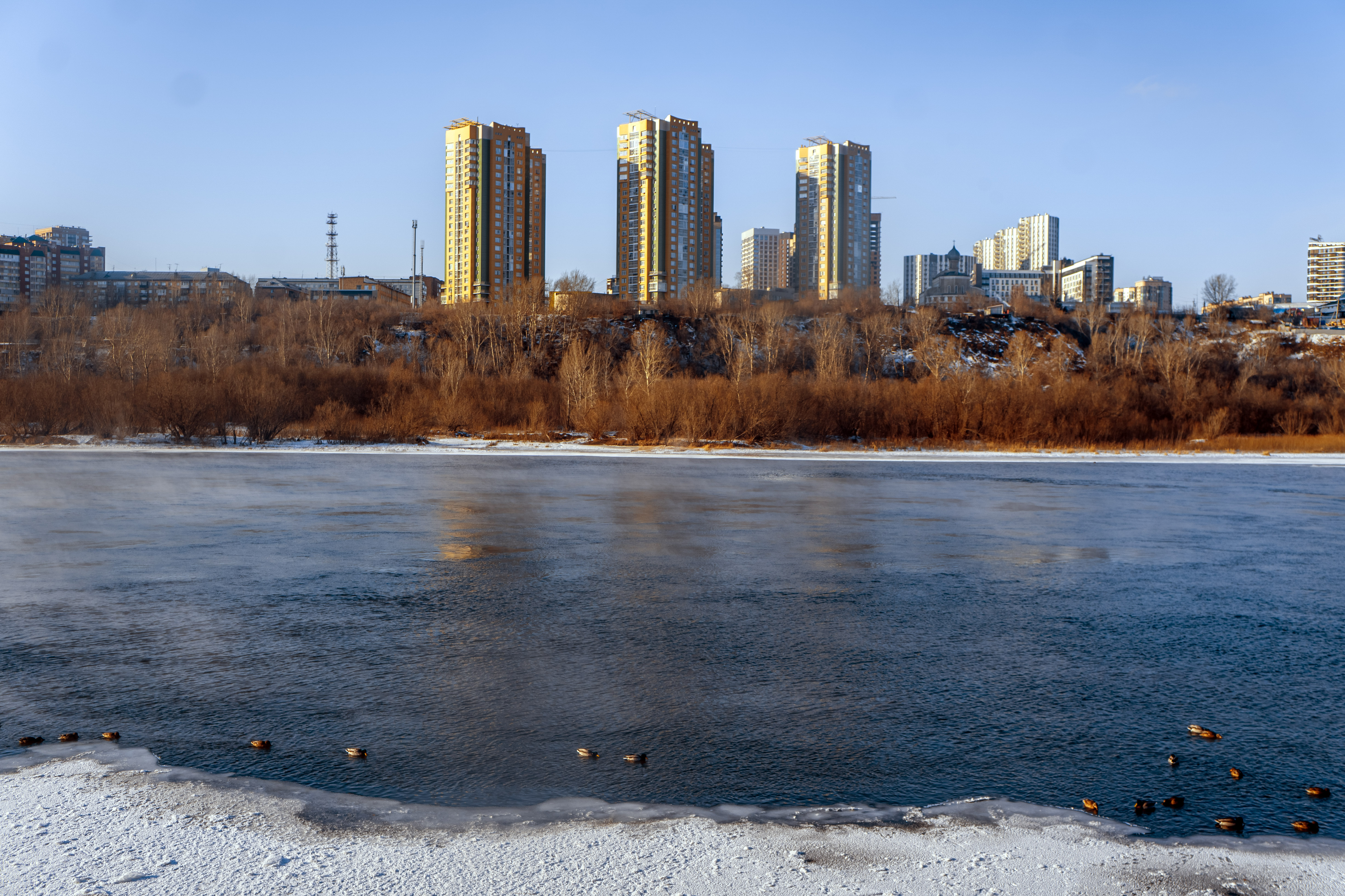 Free photo On a frosty day in Tatyshev Park