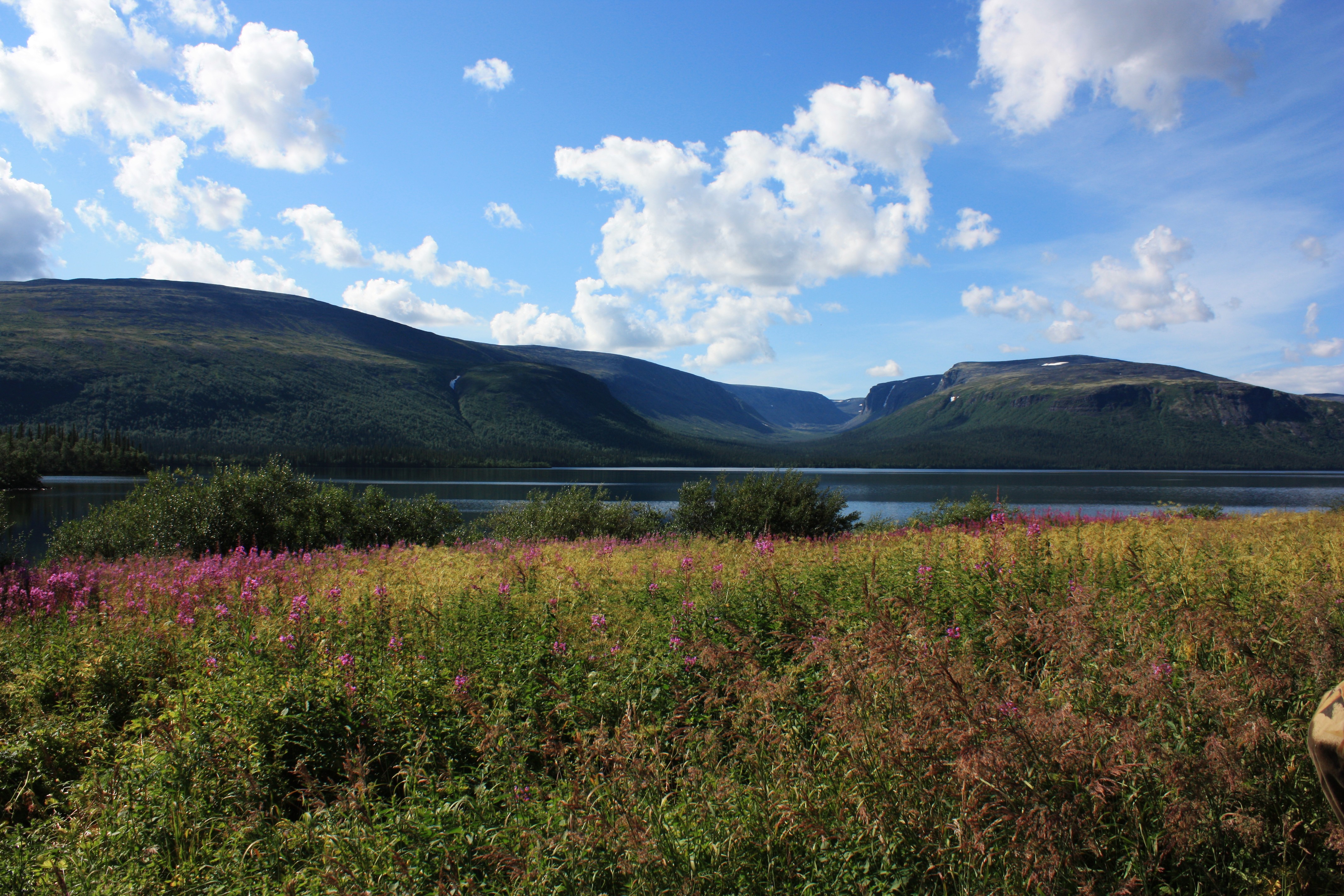 Wallpapers landscape fjord nature on the desktop