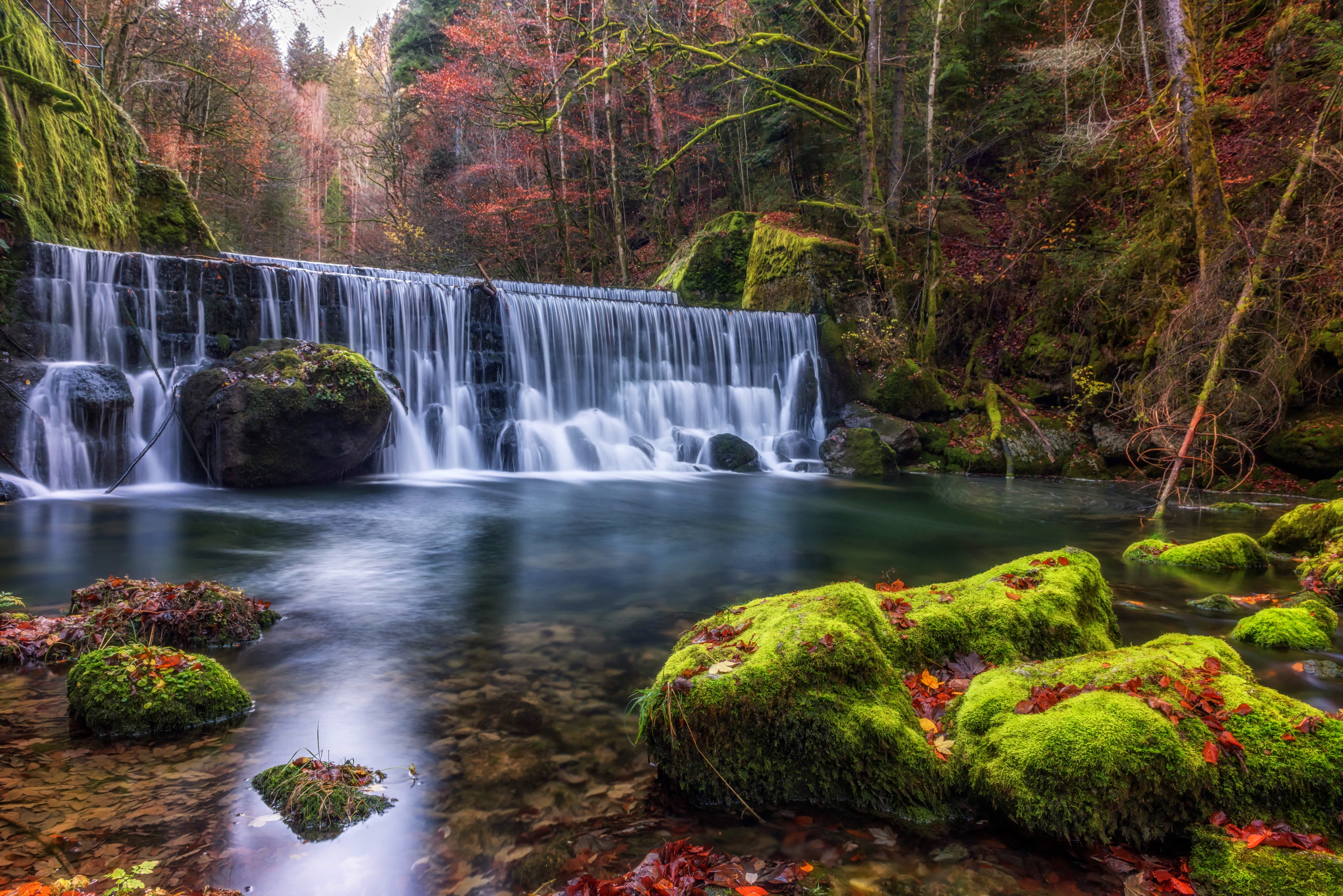 Wallpapers landscape autumn colors moss on the desktop