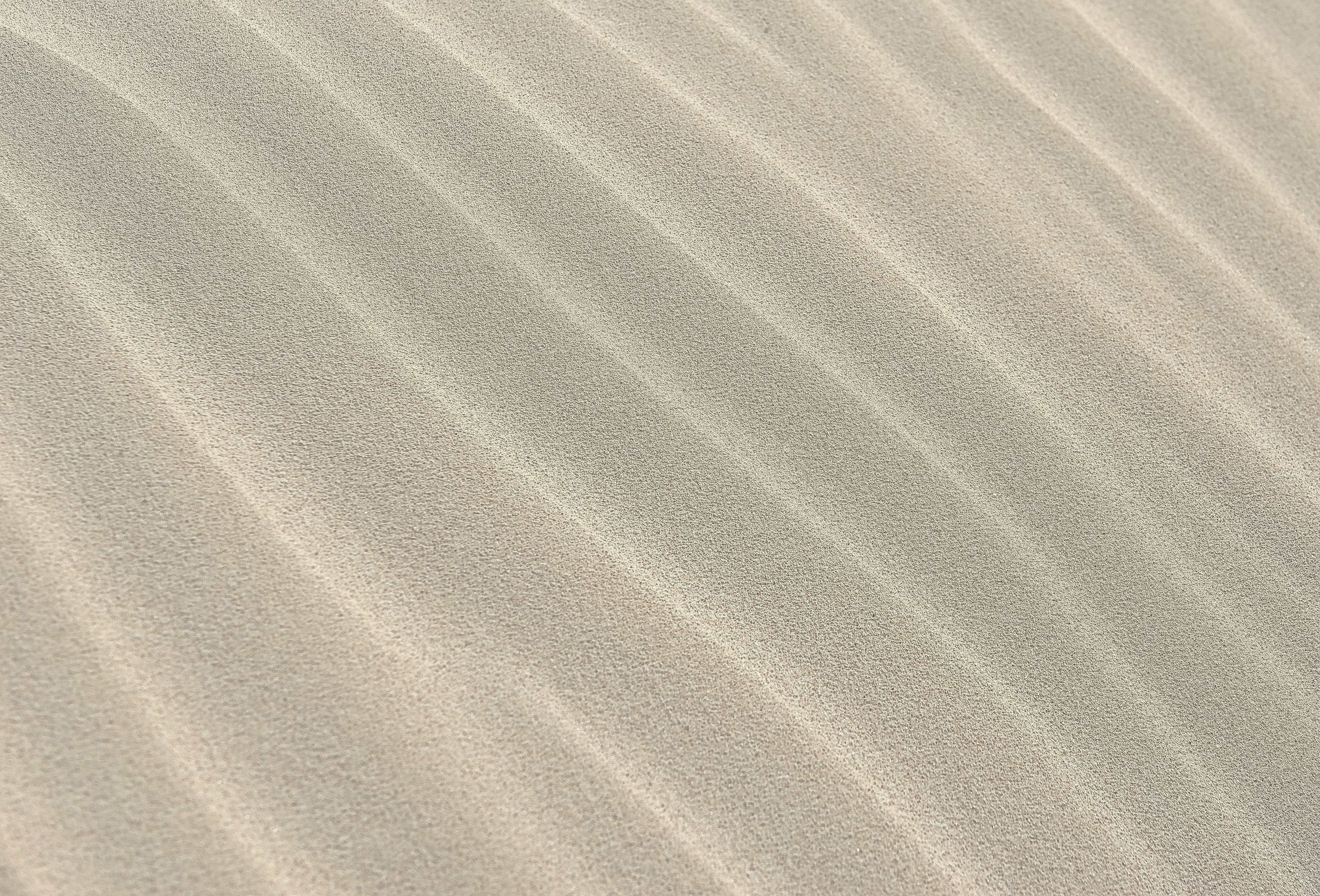 Free photo A background of sand in the desert